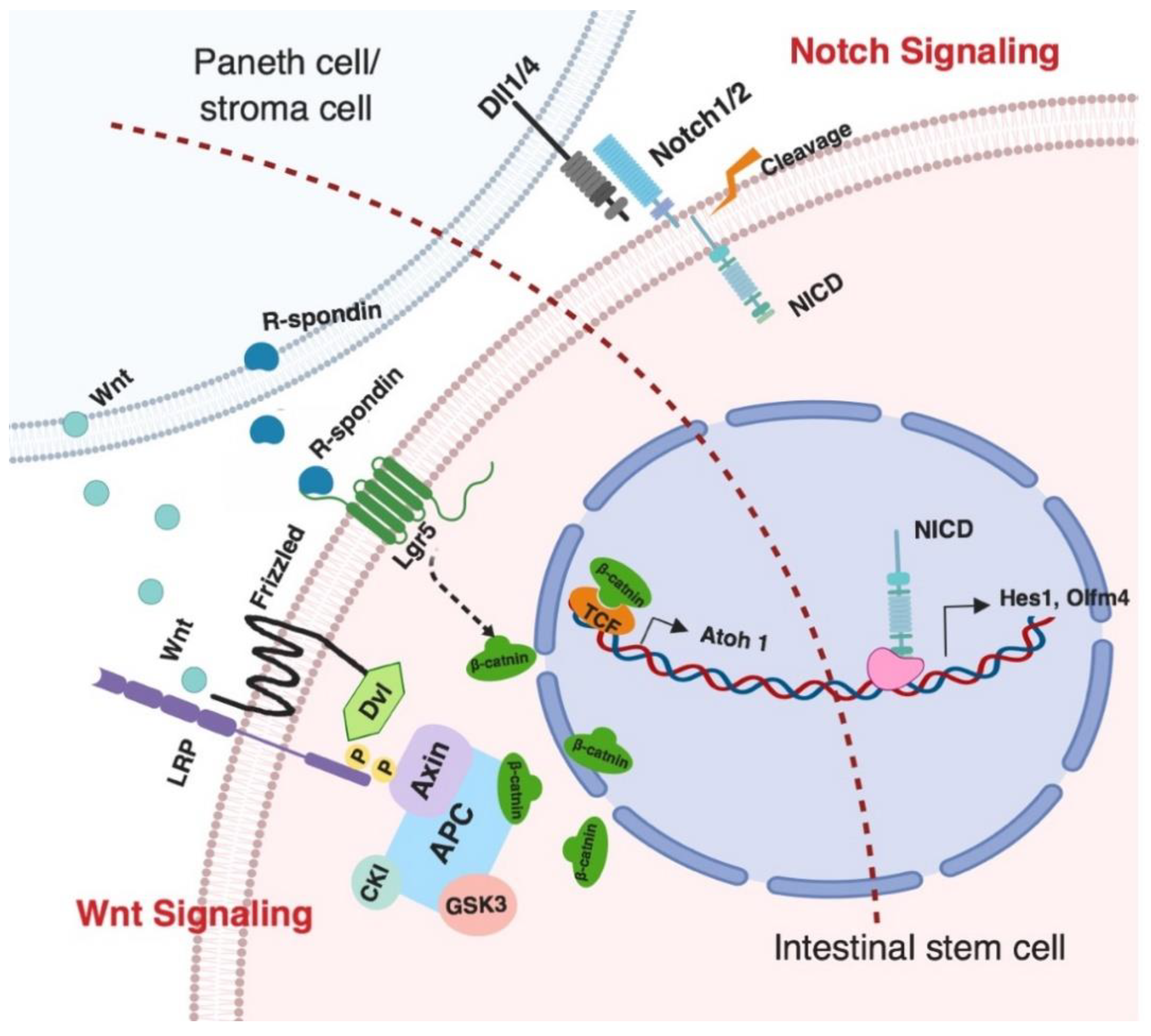 Animals 09 00870 g002 Animals 09 00870 g002