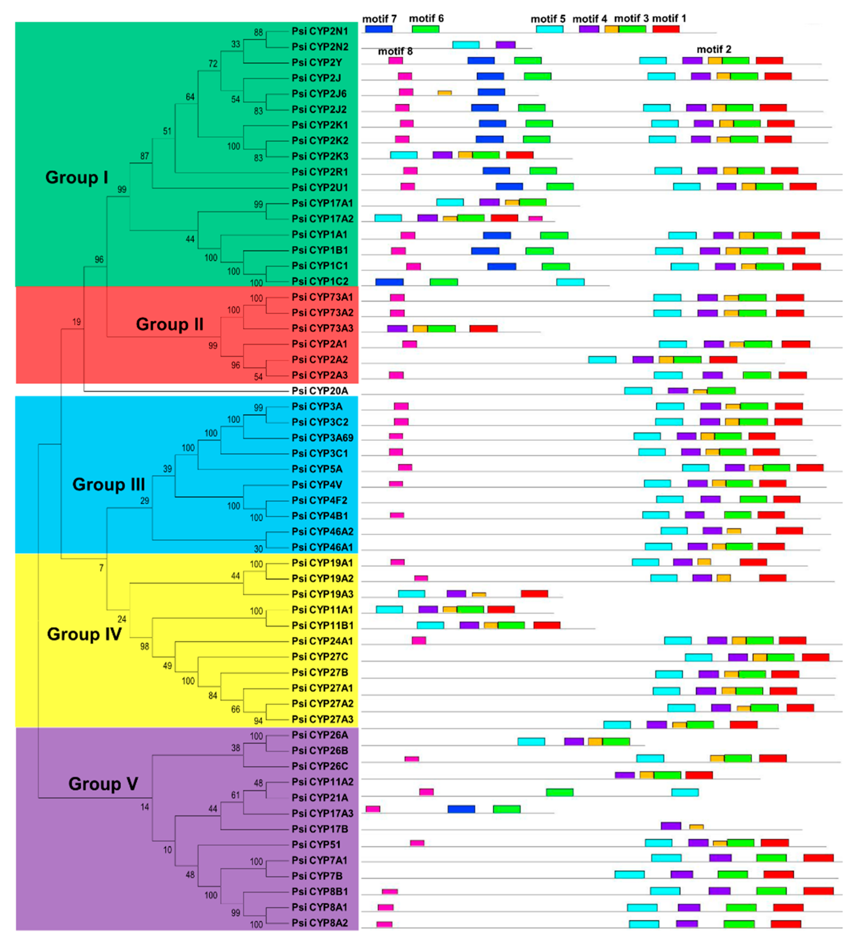 Animals 09 00873 g001 Animals 09 00873 g001