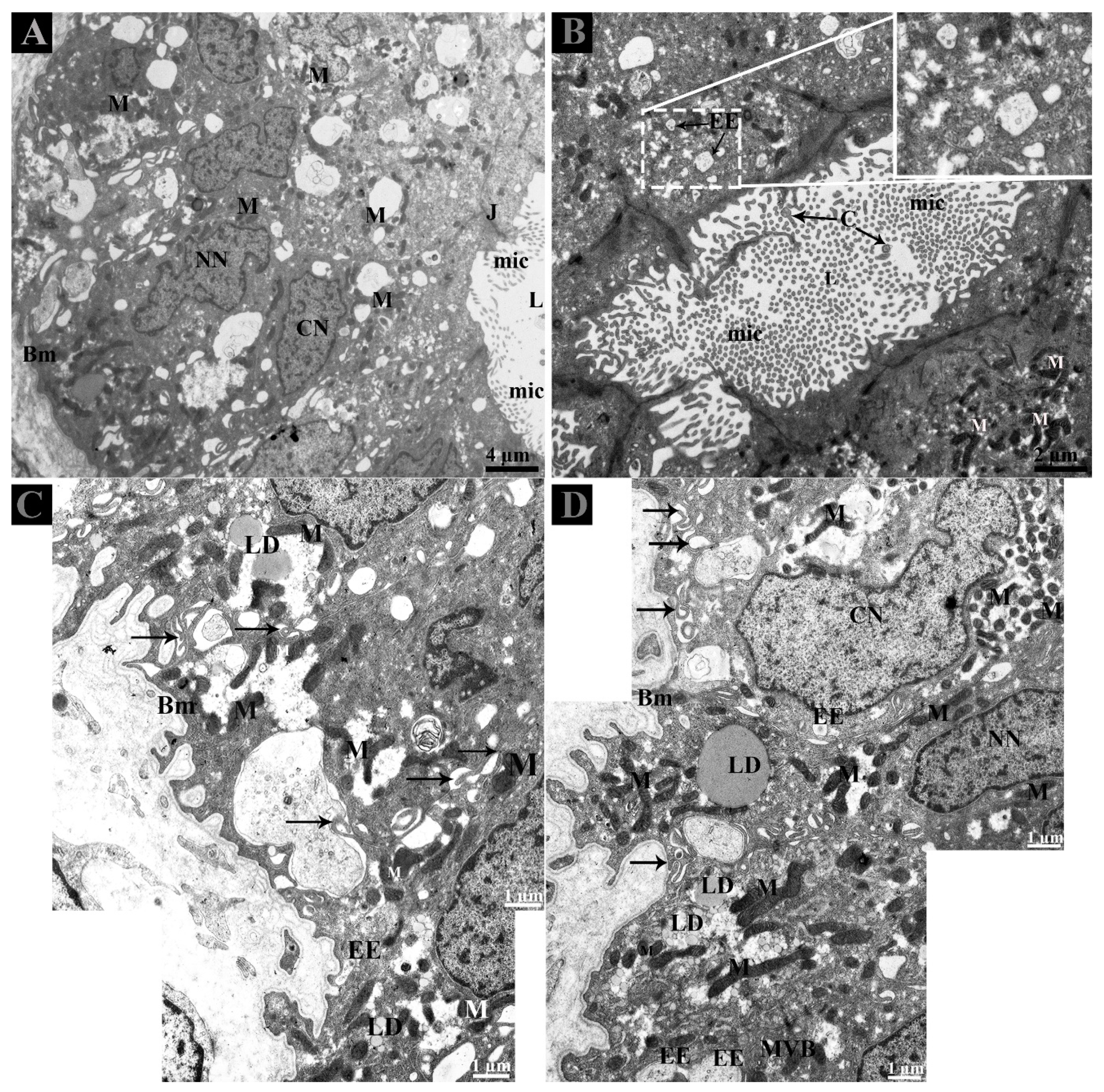 Animals 09 00888 g002 Animals 09 00888 g002