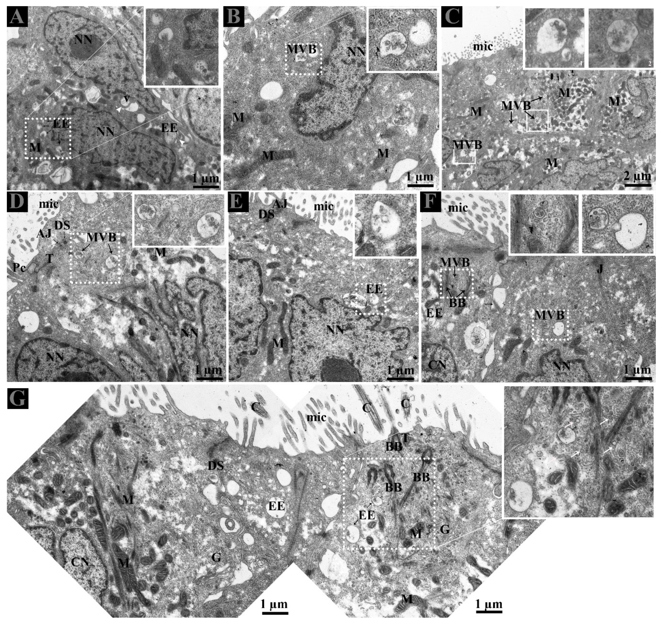 Animals 09 00888 g003 Animals 09 00888 g003