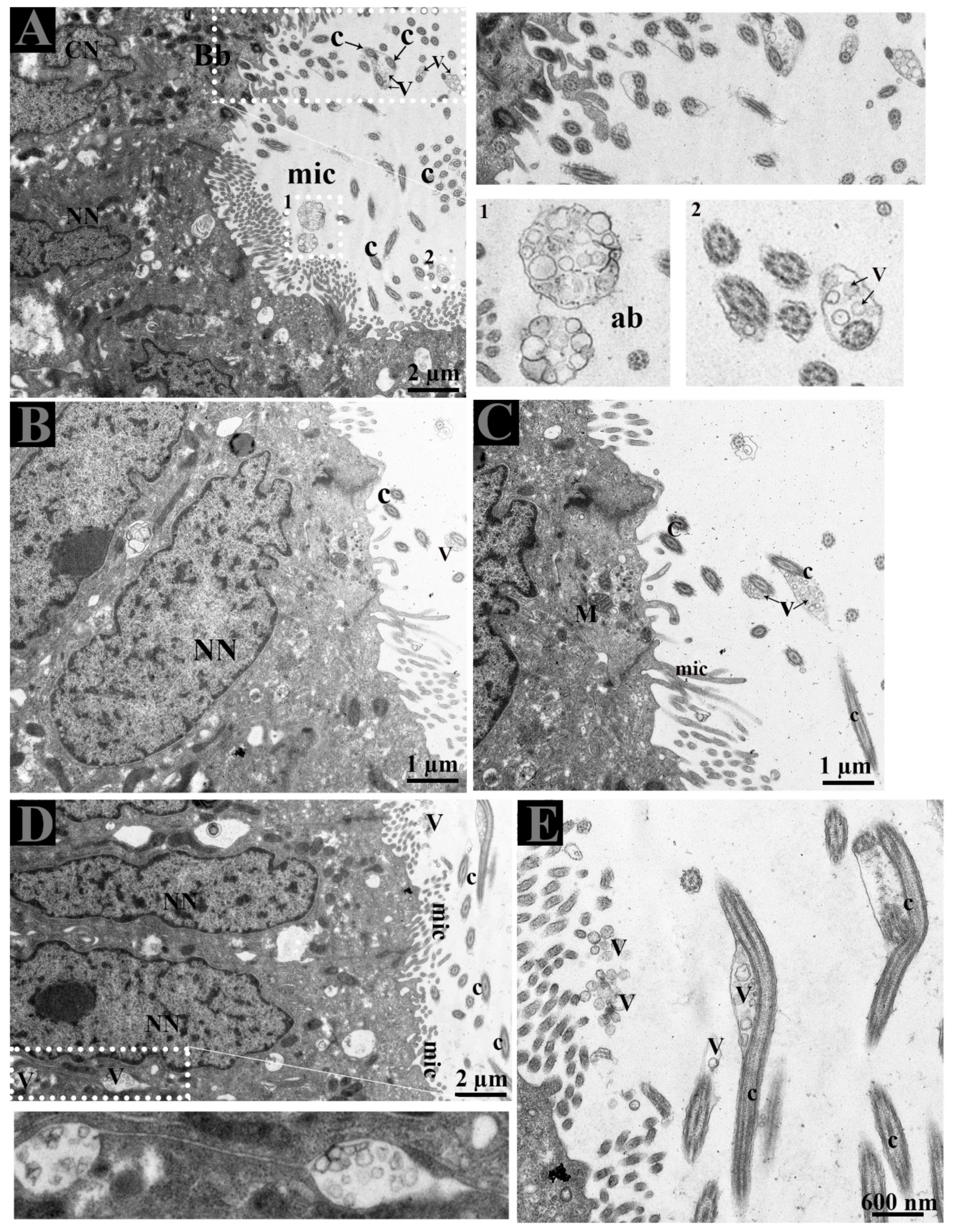 Animals 09 00888 g004 Animals 09 00888 g004