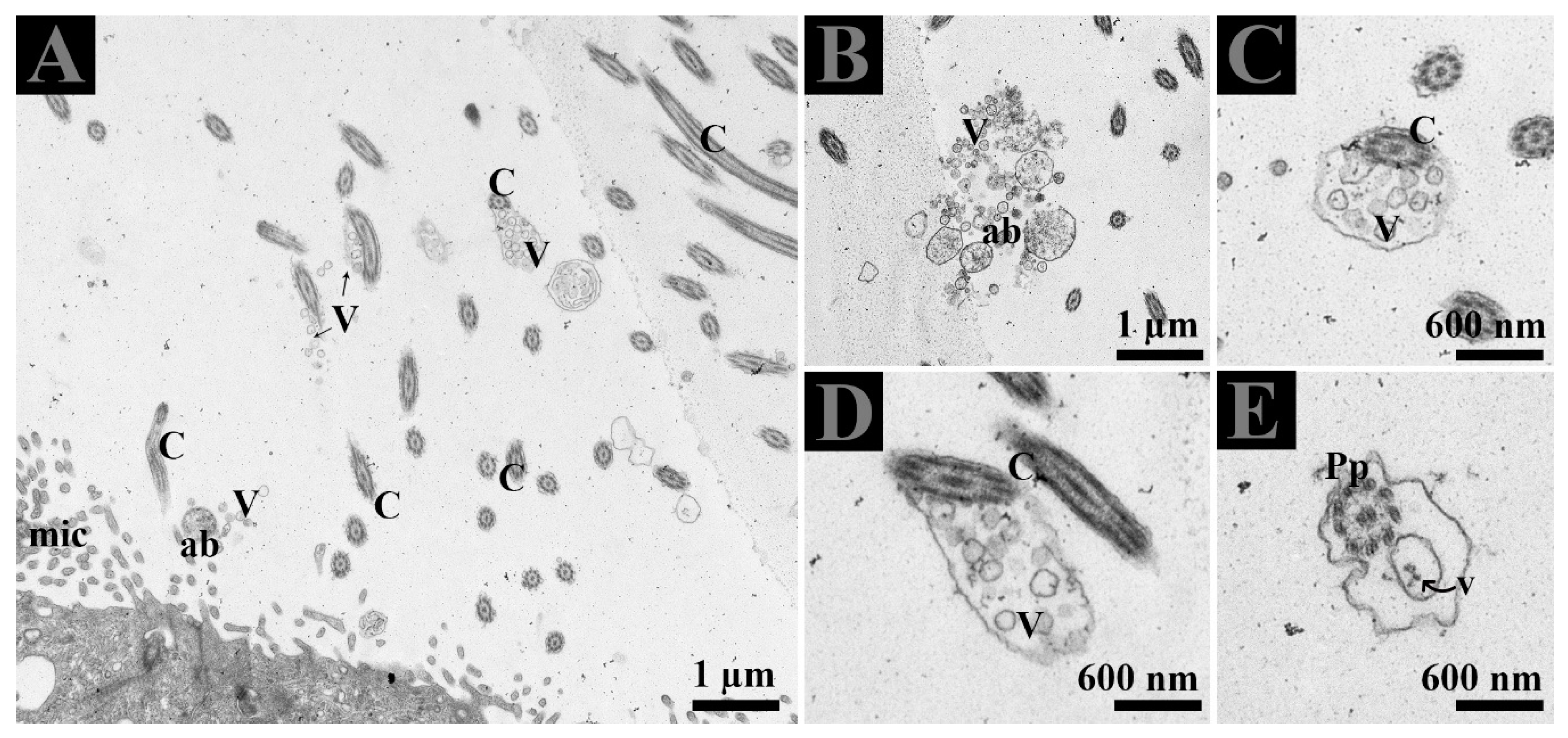 Animals 09 00888 g005 Animals 09 00888 g005