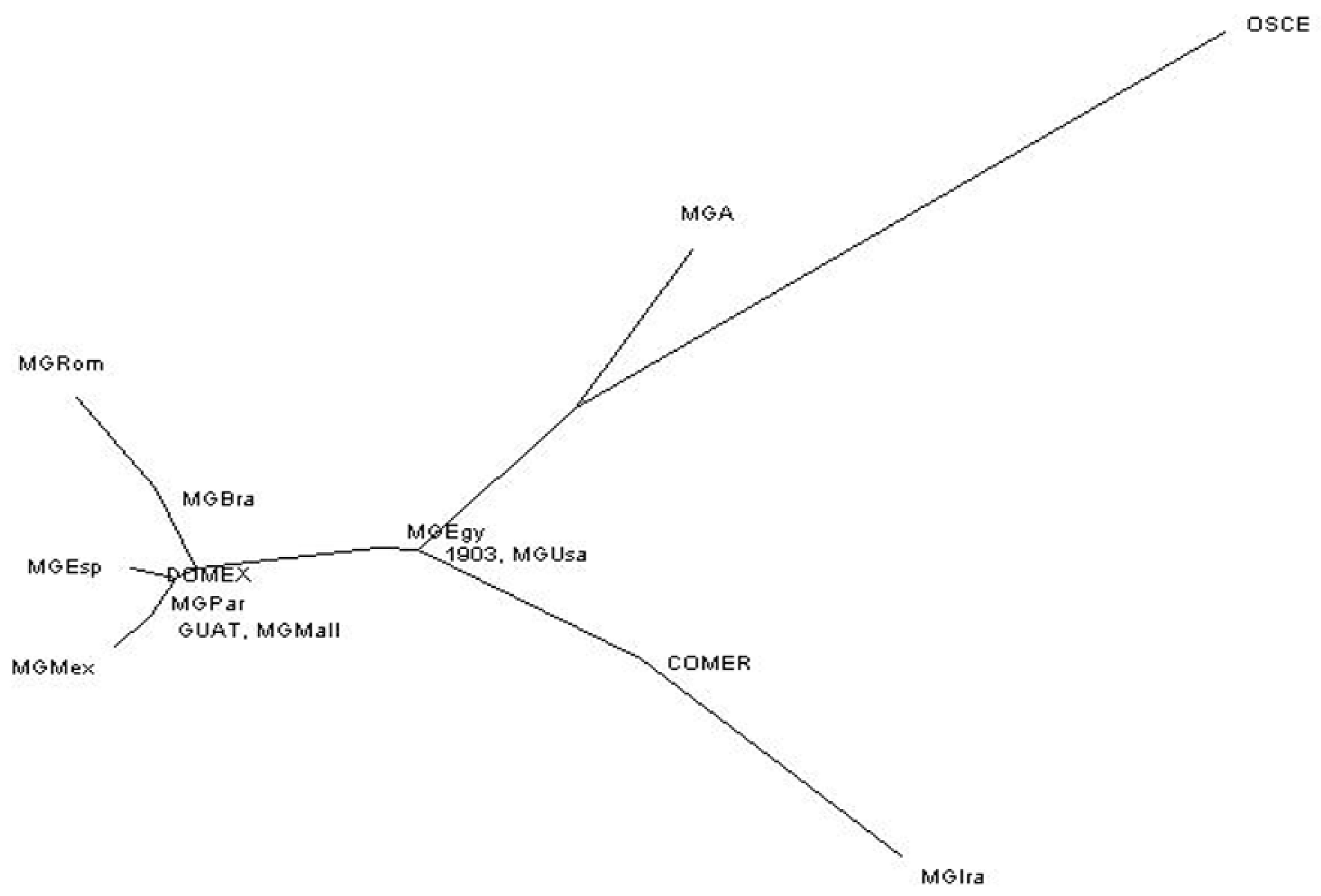 Animals 09 00897 g001