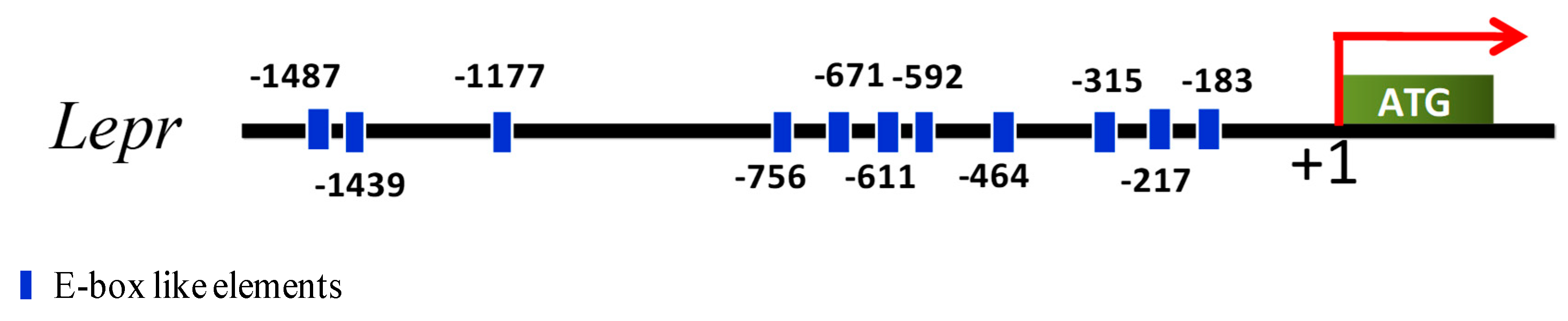 Animals 09 00899 g004 Animals 09 00899 g004
