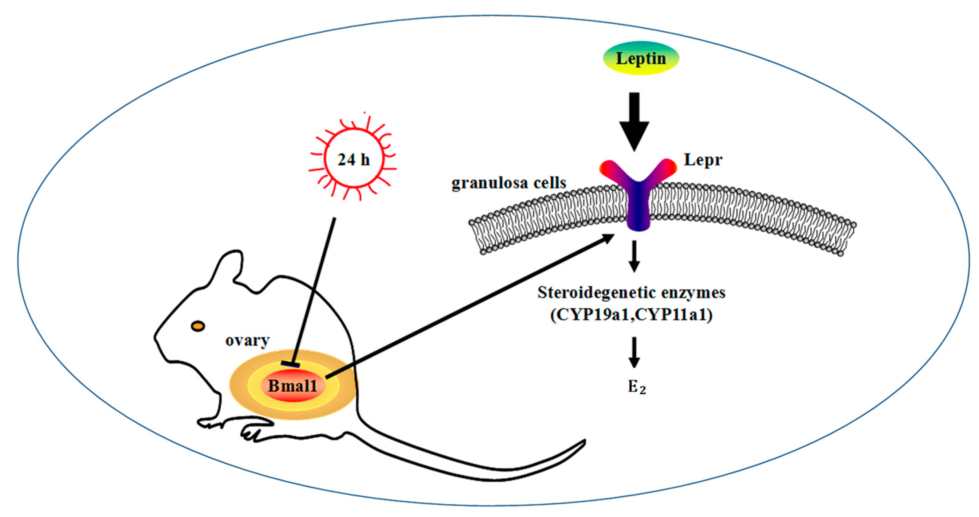 Animals 09 00899 g008 Animals 09 00899 g008