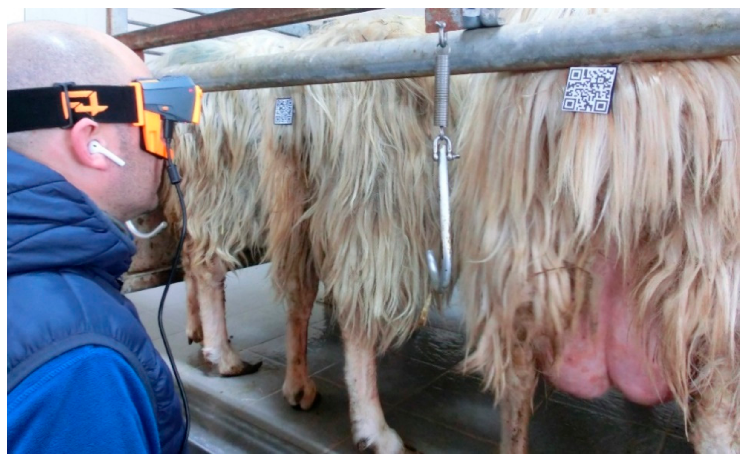 Animals 09 00903 g010 Animals 09 00903 g010