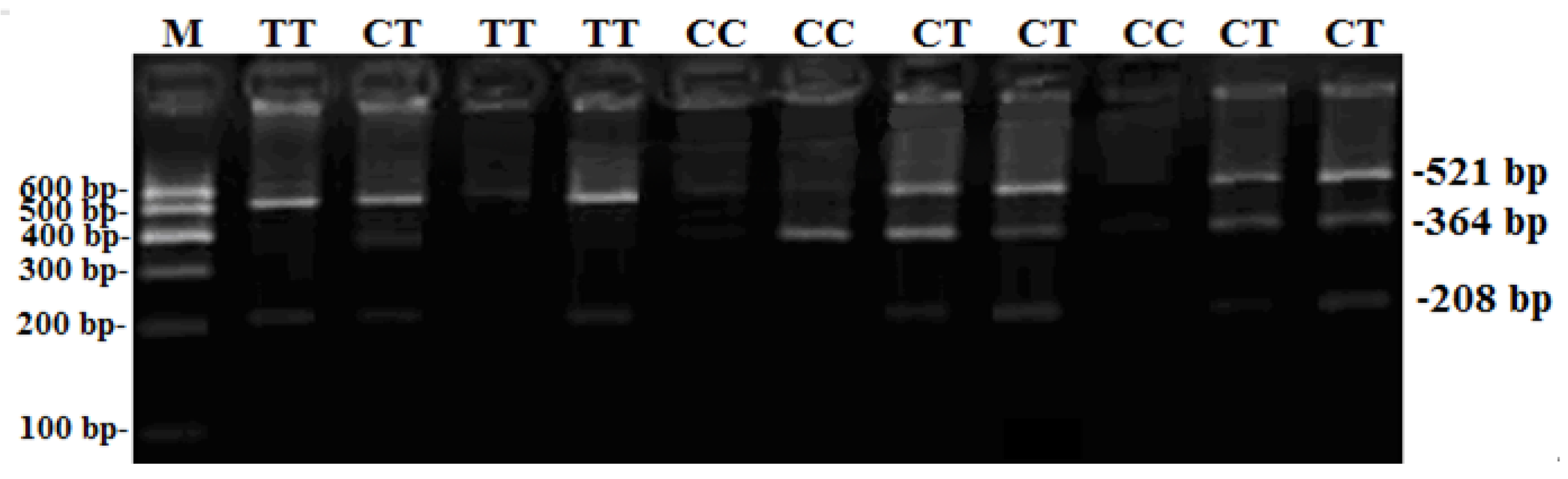 Animals 09 00910 g001 Animals 09 00910 g001