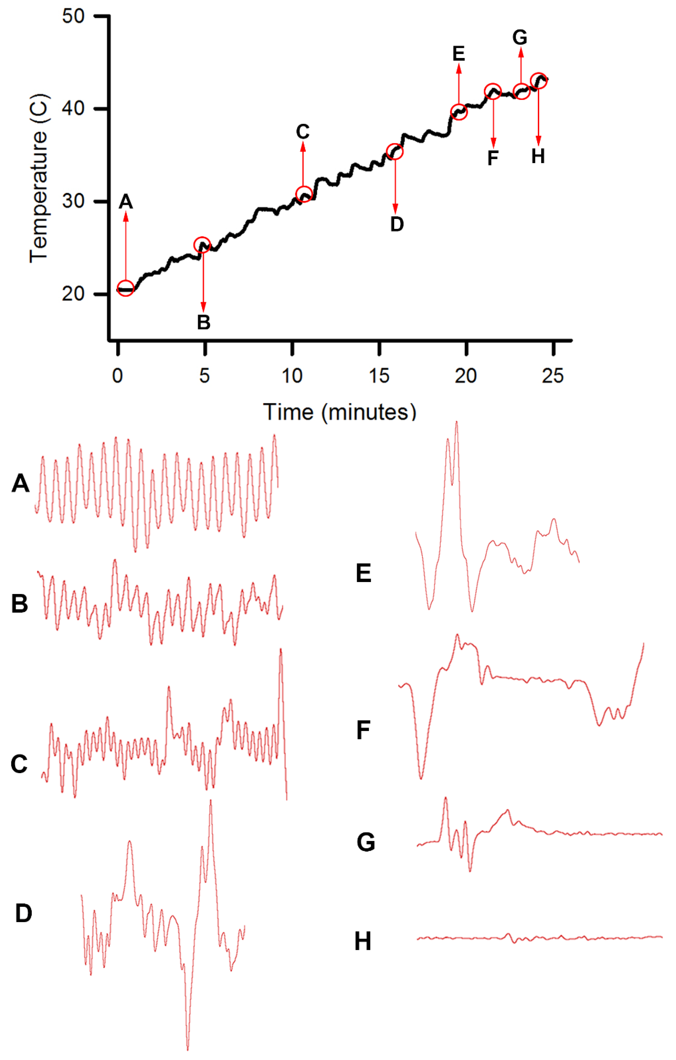Animals 09 00914 g005 550