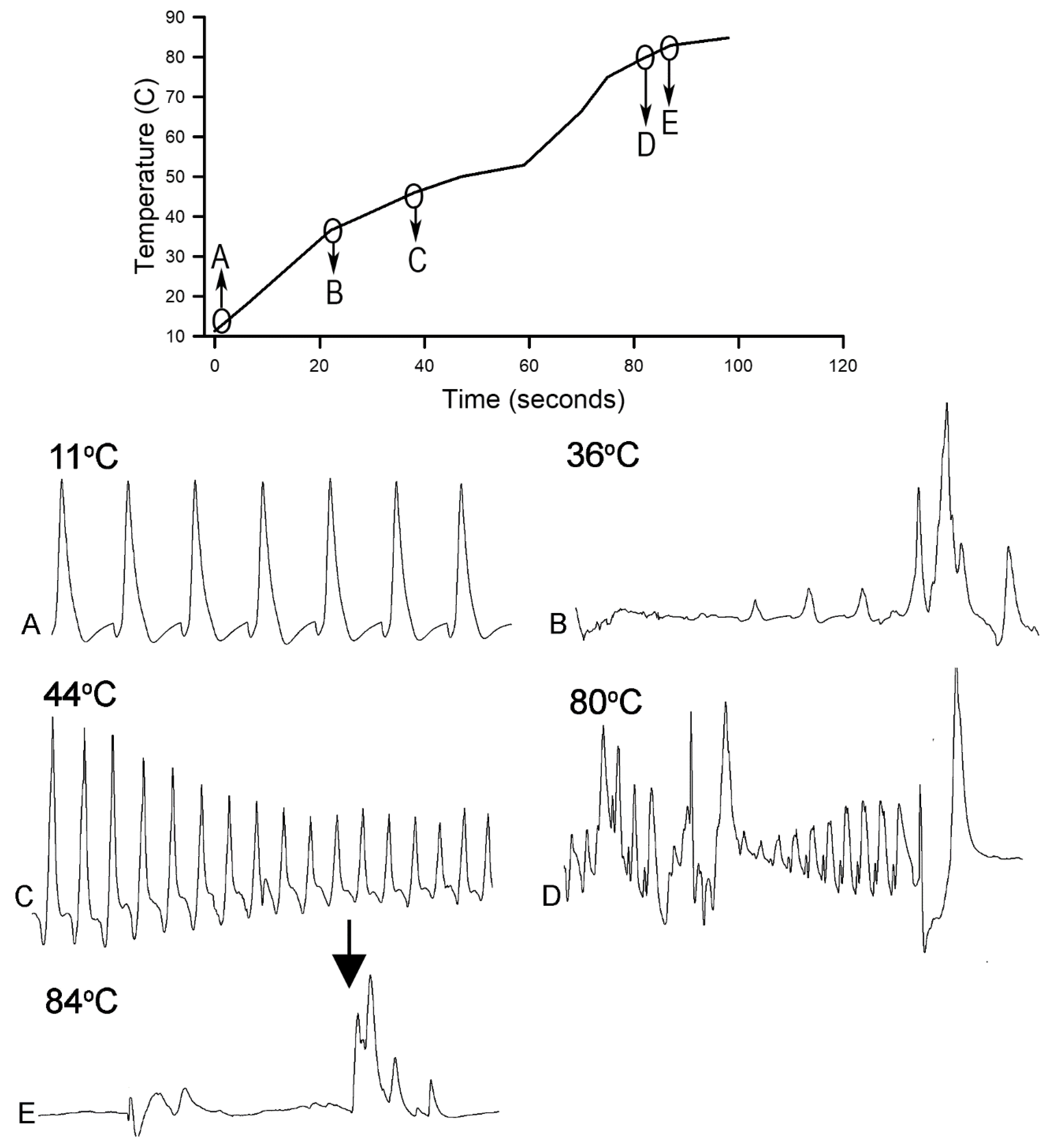Animals 09 00914 g007 550