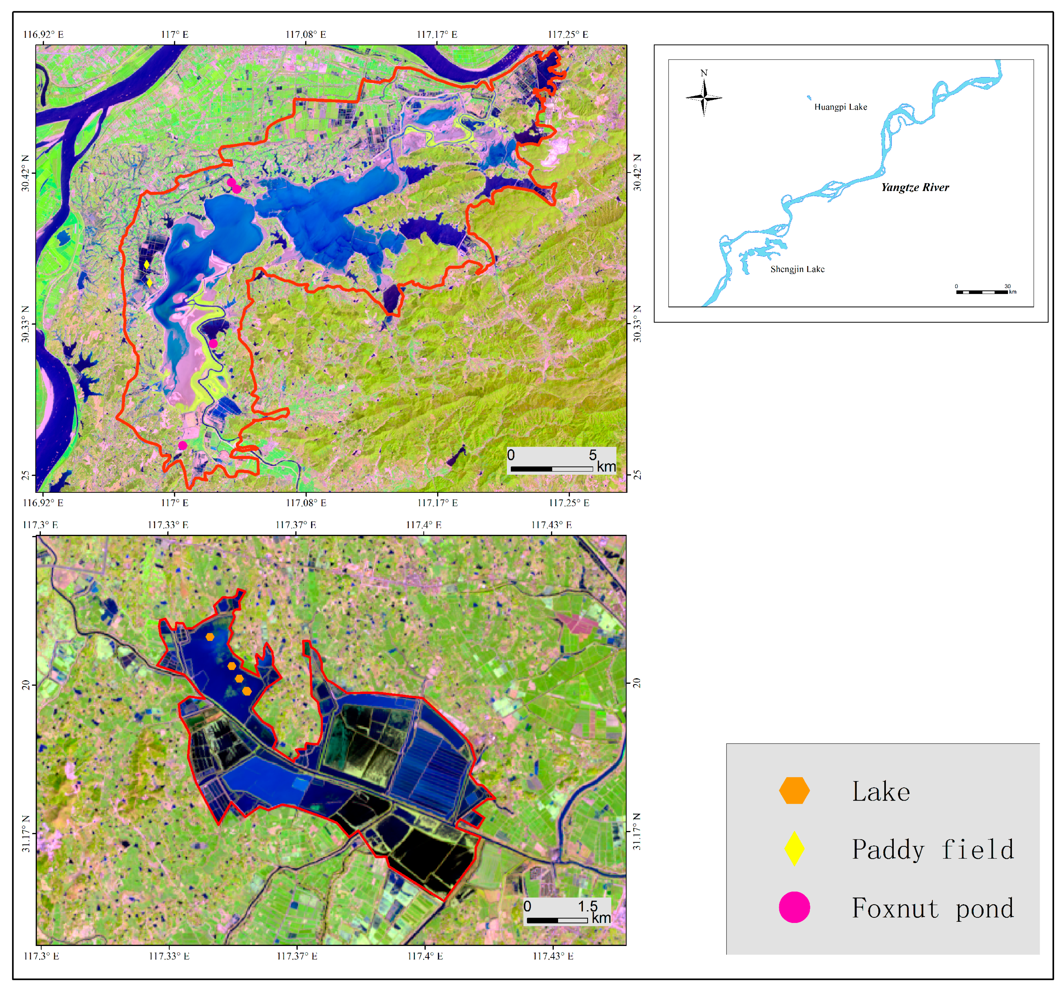 Animals 09 00946 g001