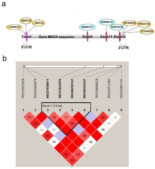 Identification of Single Nucleotide Polymorphisms in Porcine