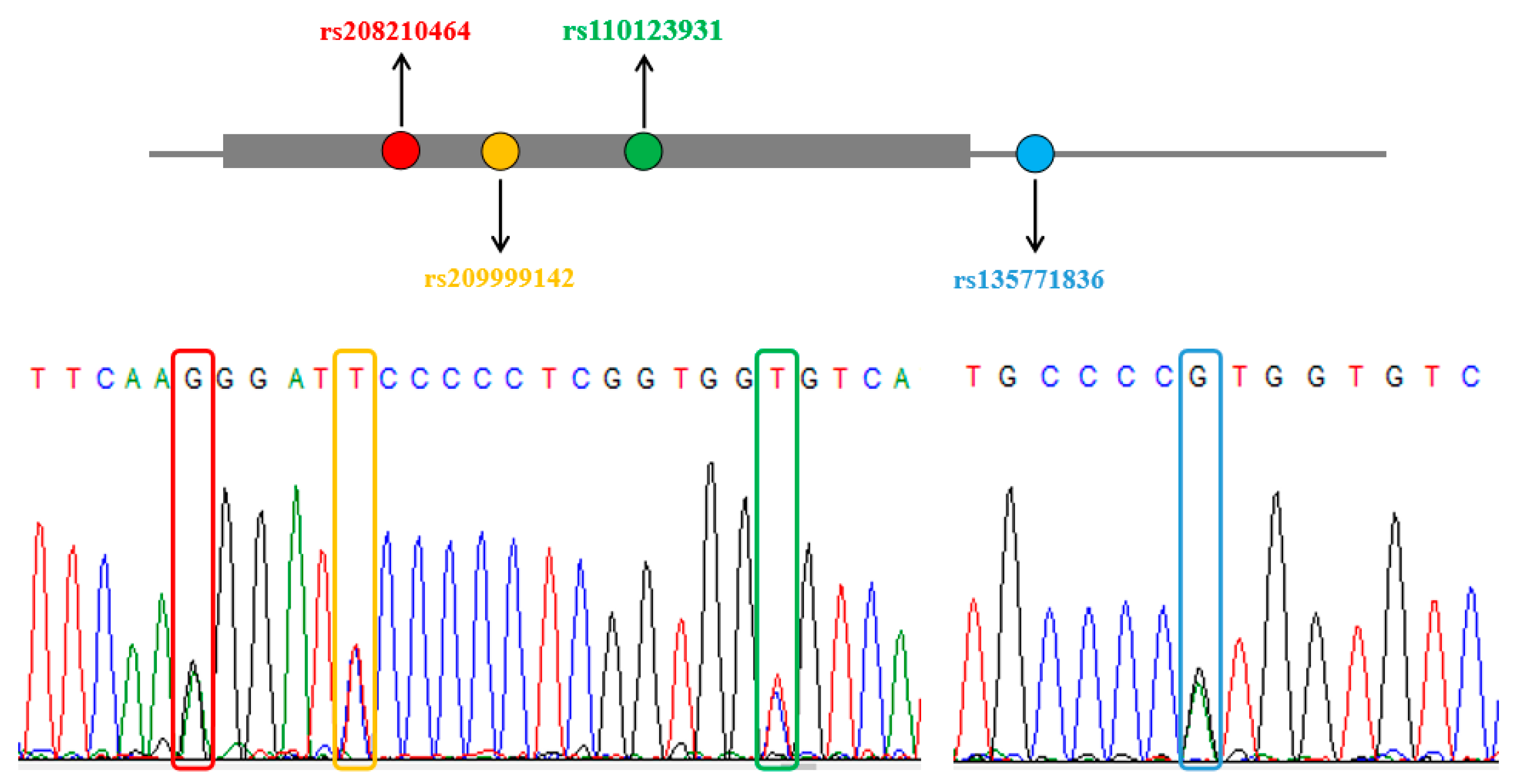 Animals 09 00964 g001