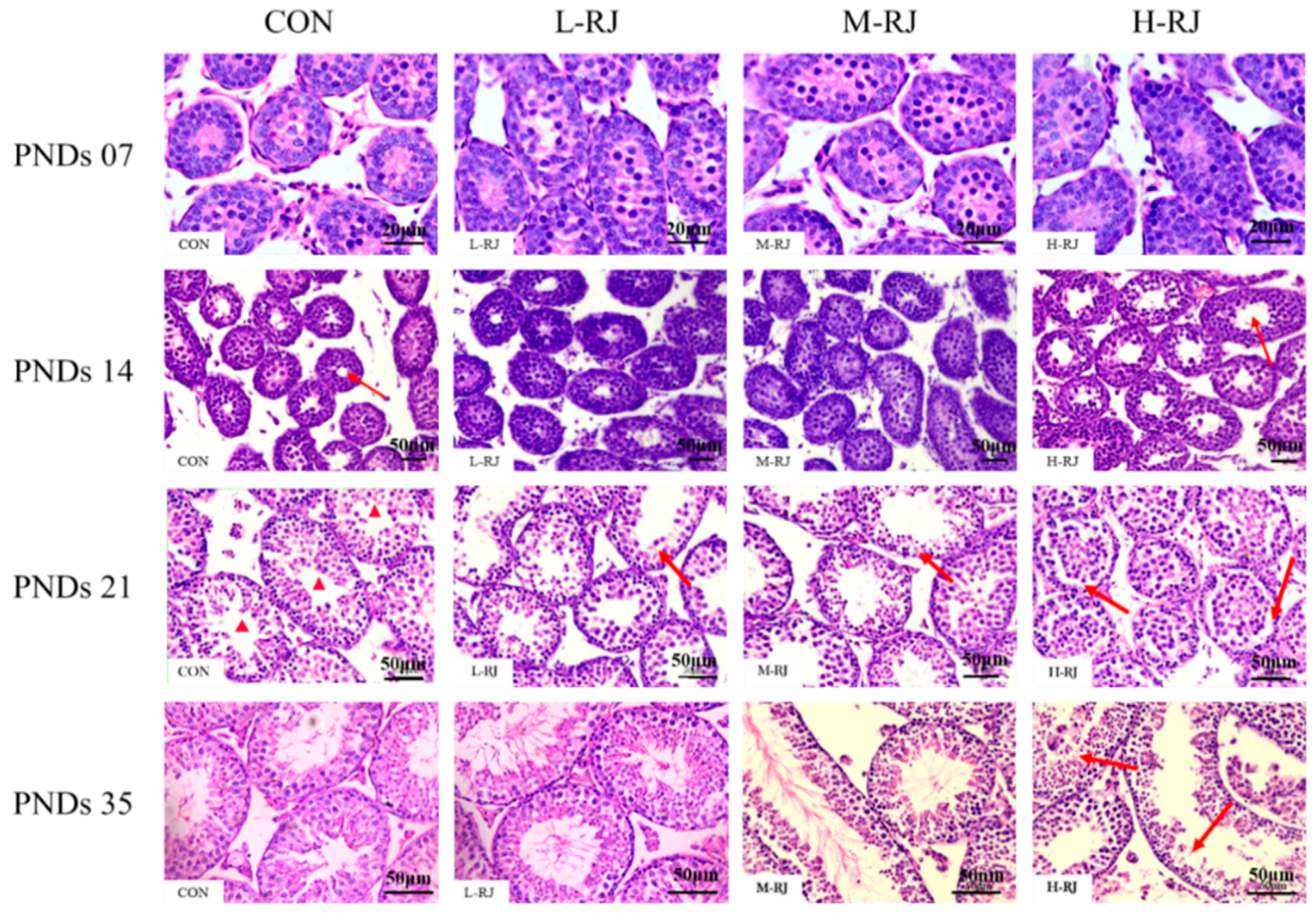 Animals 09 00977 g004 Animals 09 00977 g004