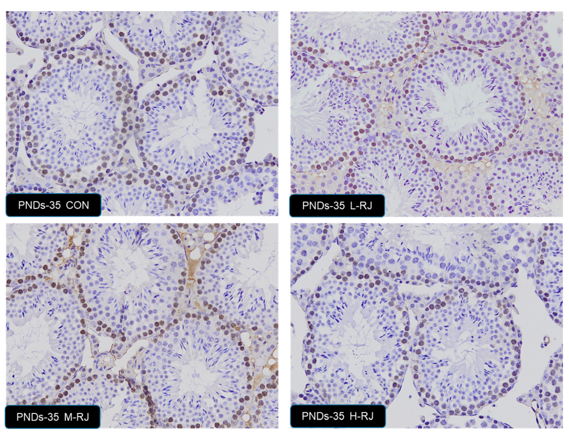 Animals 09 00977 g007 Animals 09 00977 g007