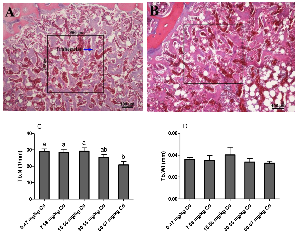 Animals 09 00998 g004 Animals 09 00998 g004