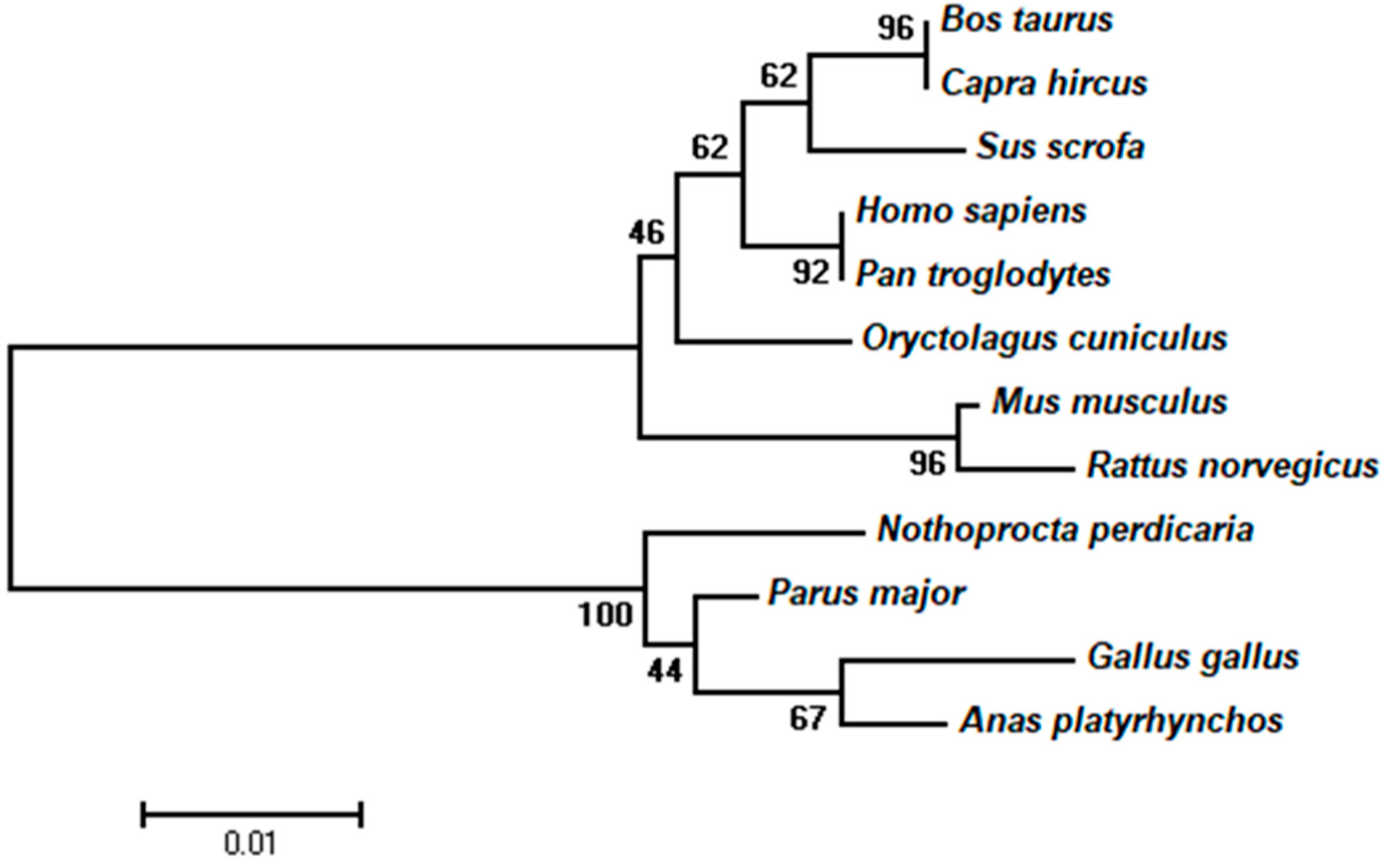 Animals 09 01001 g001