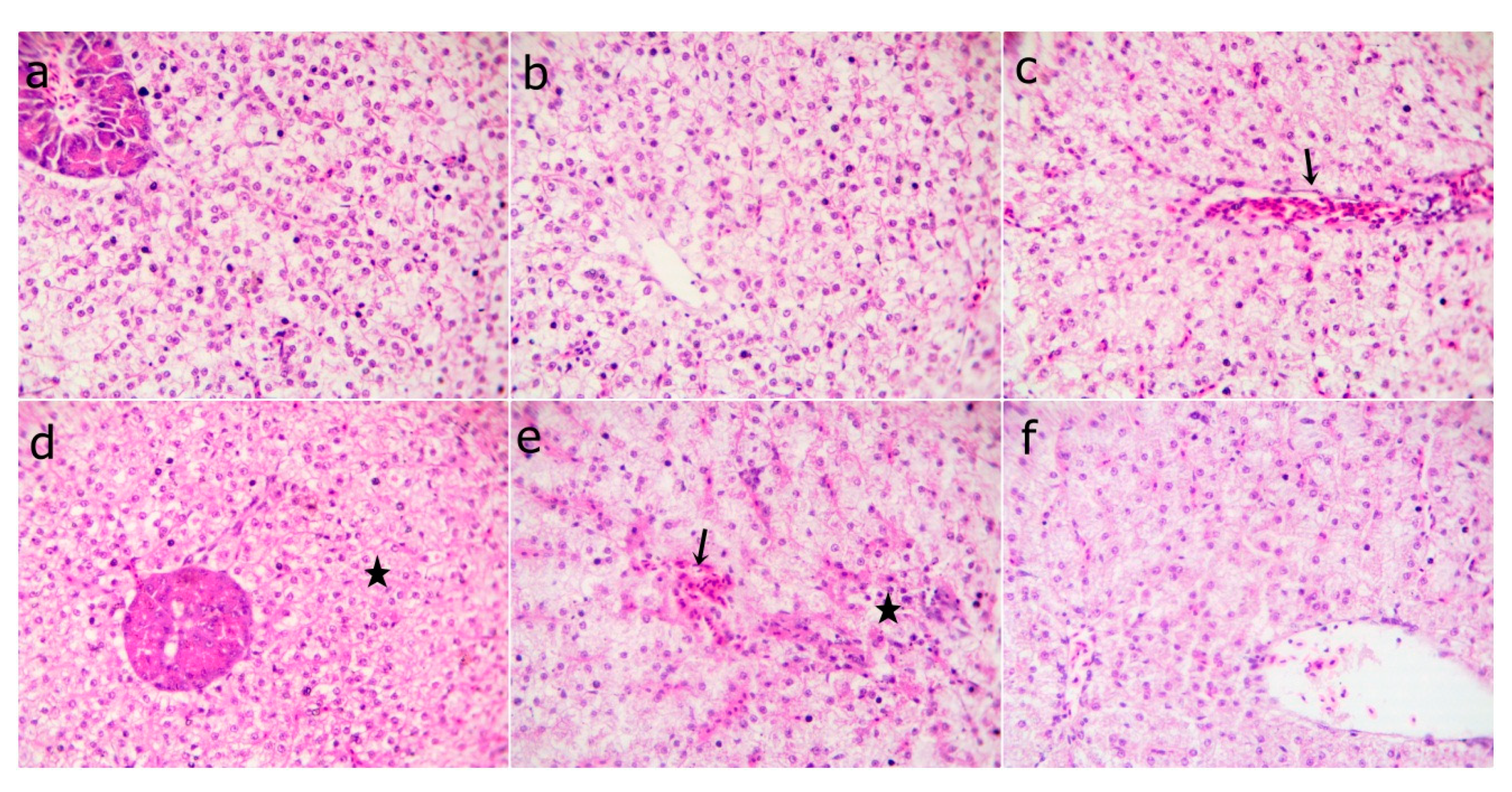 Animals 09 01003 g005 Animals 09 01003 g005