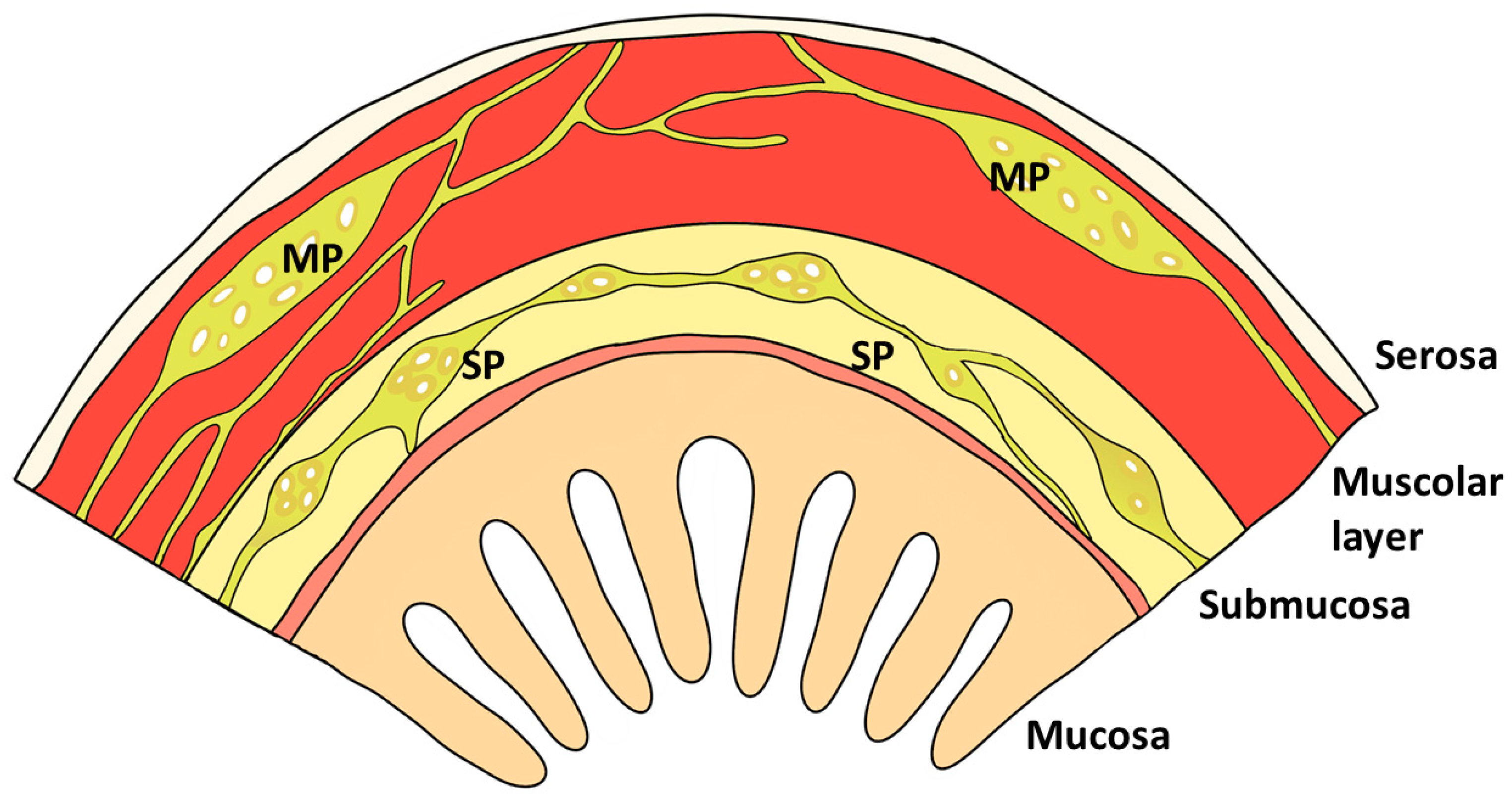 Animals 09 01045 g002