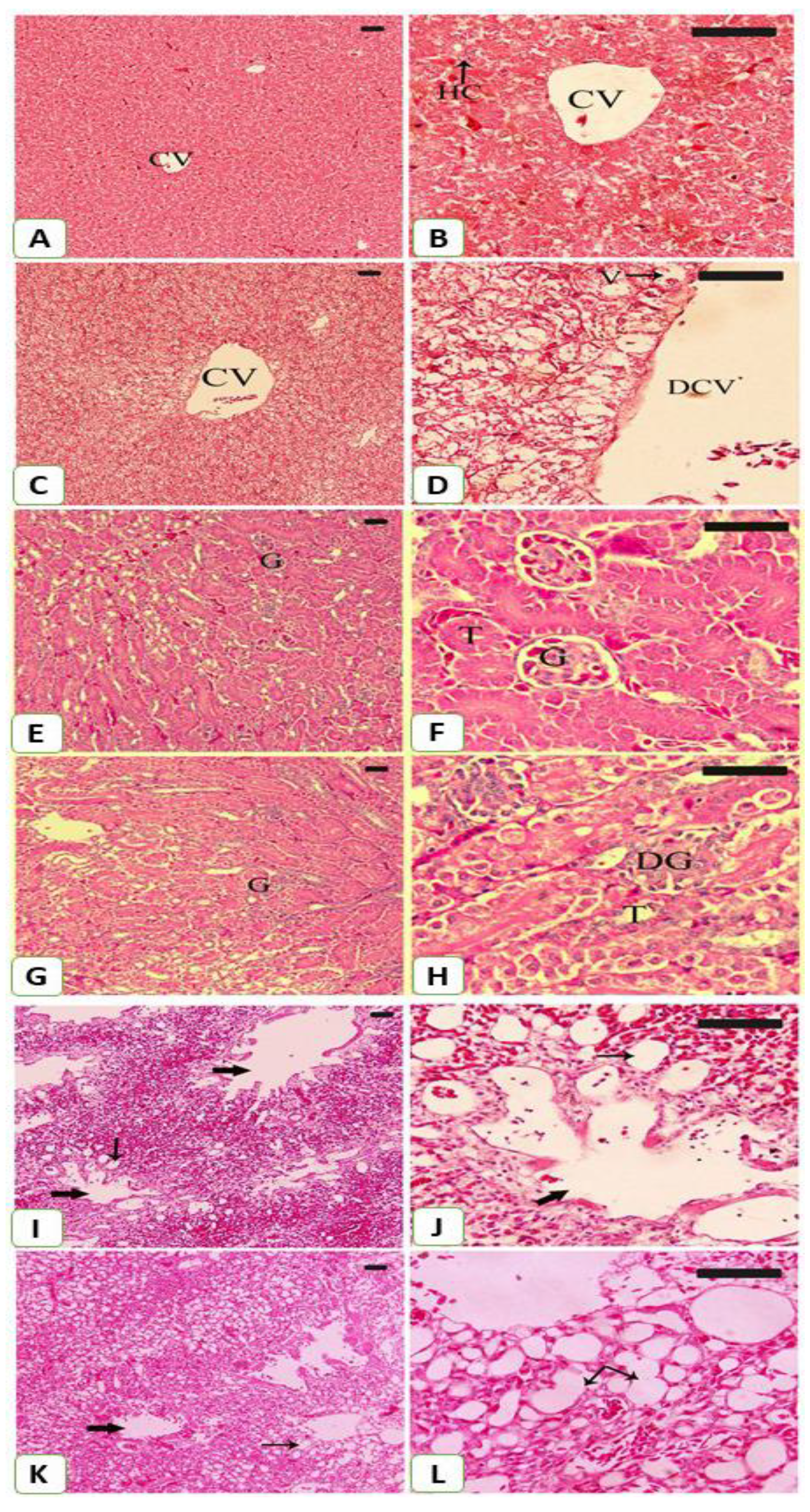 Animals 09 01046 g007