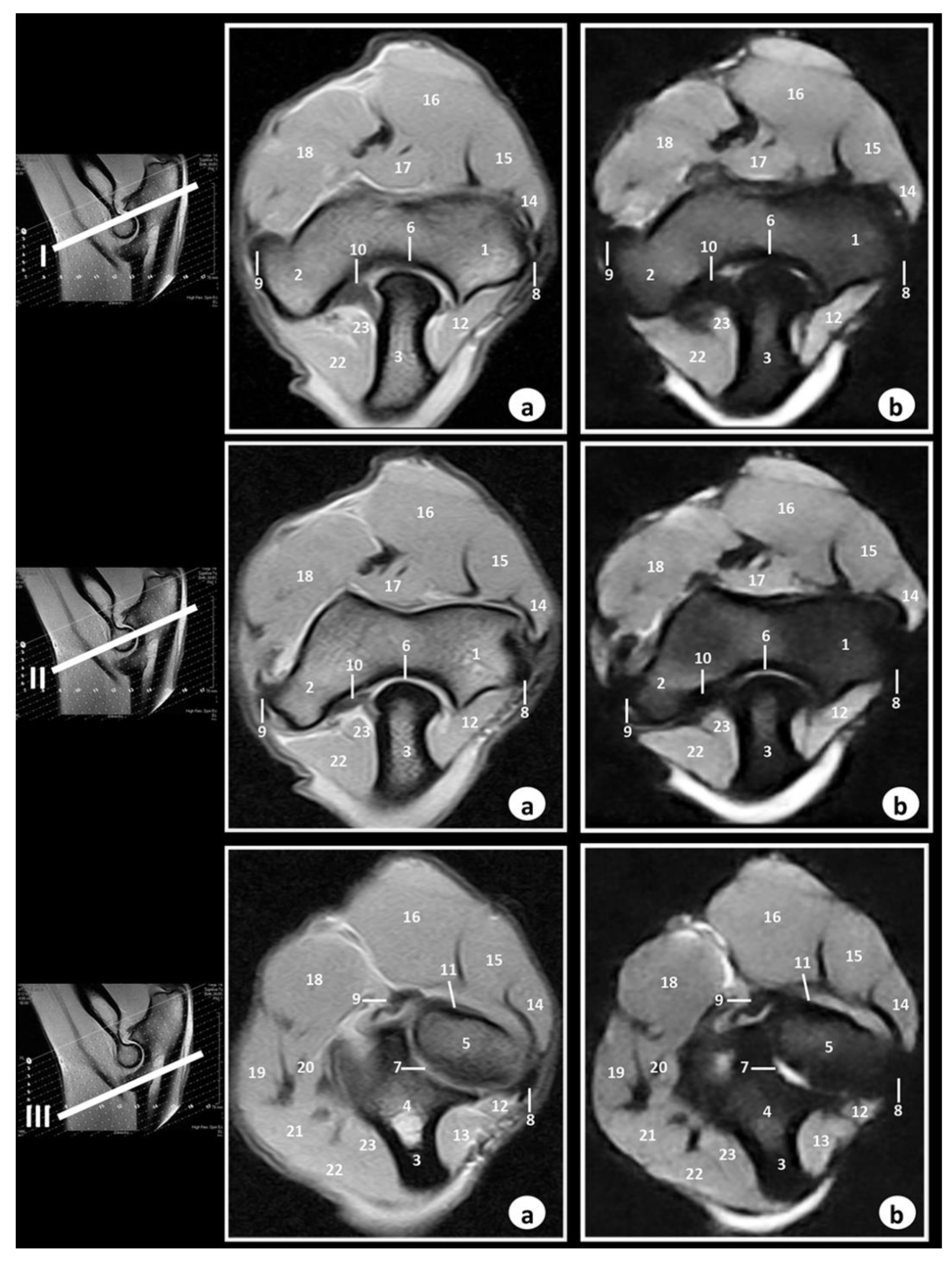 Animals 09 01058 g004