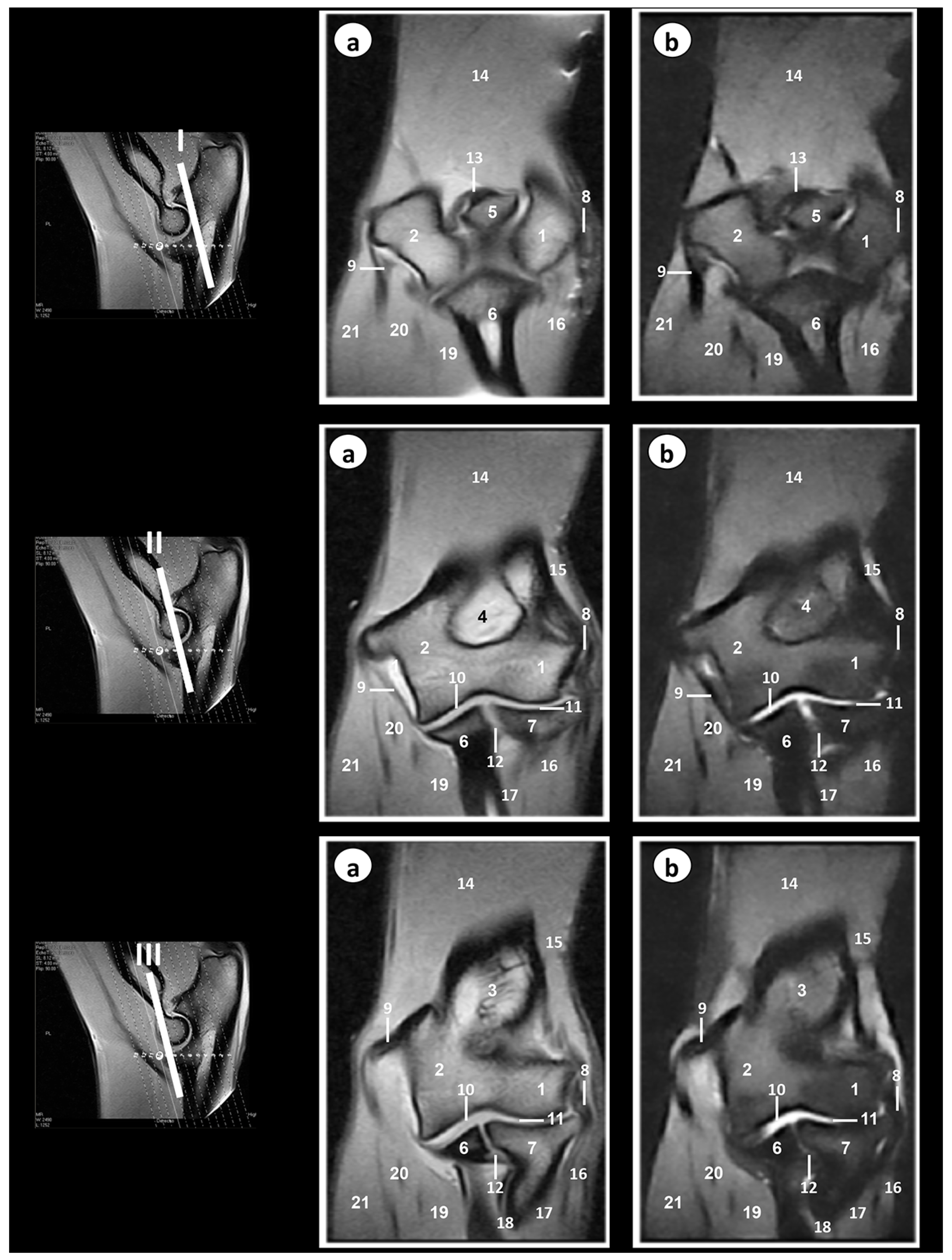 Animals 09 01058 g005