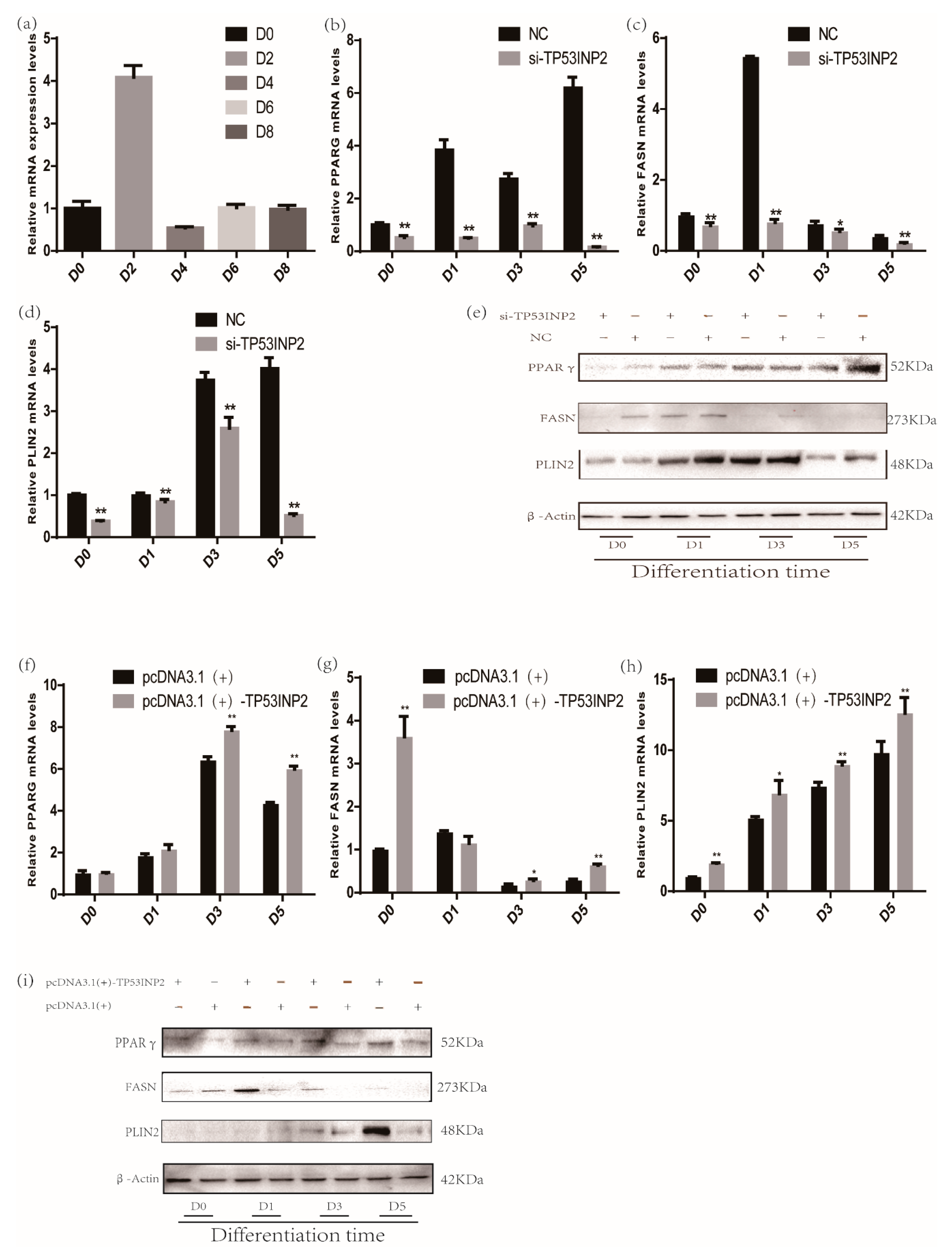 Animals 09 01060 g002