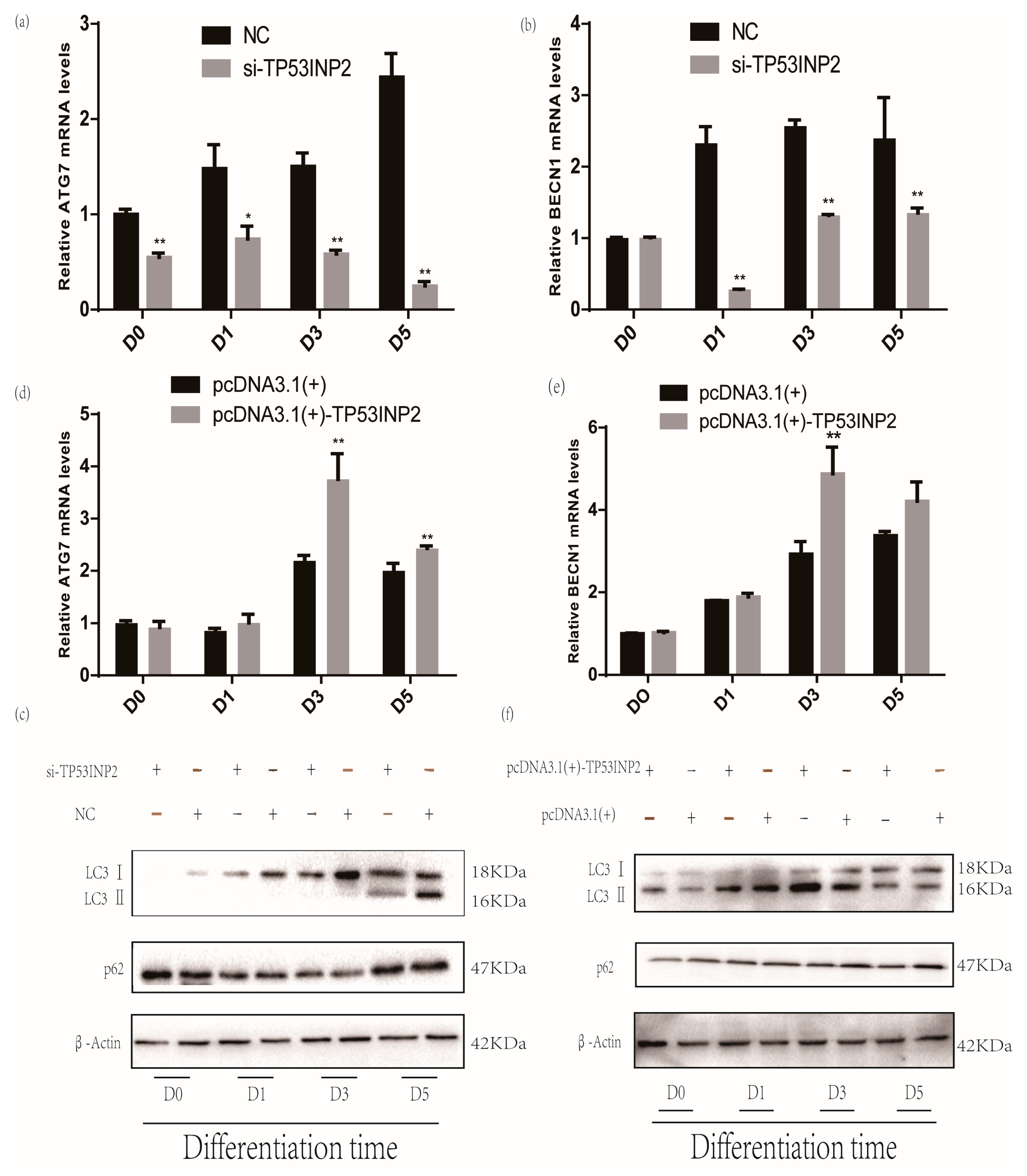 Animals 09 01060 g004