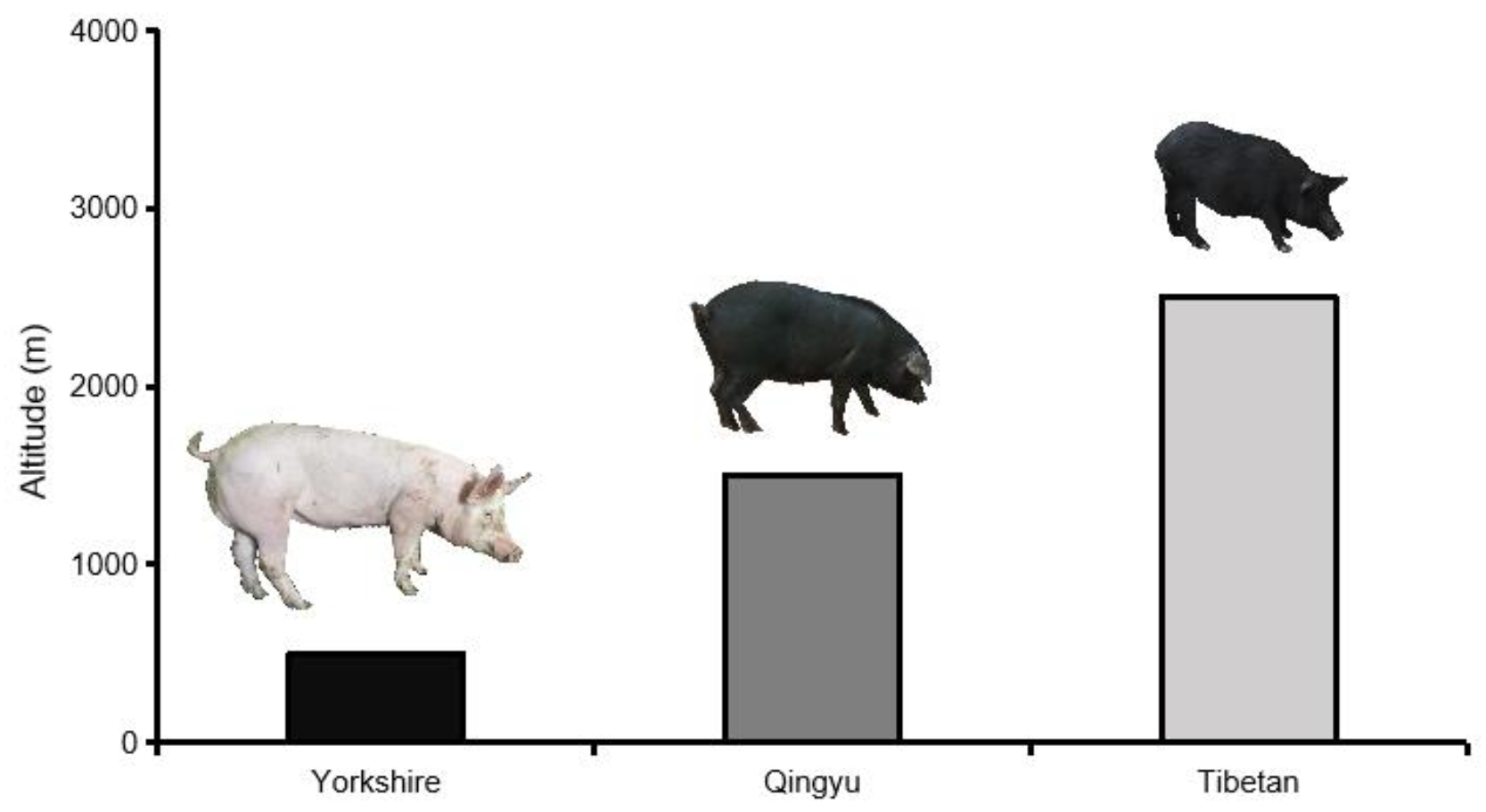 Animals 09 01080 g001