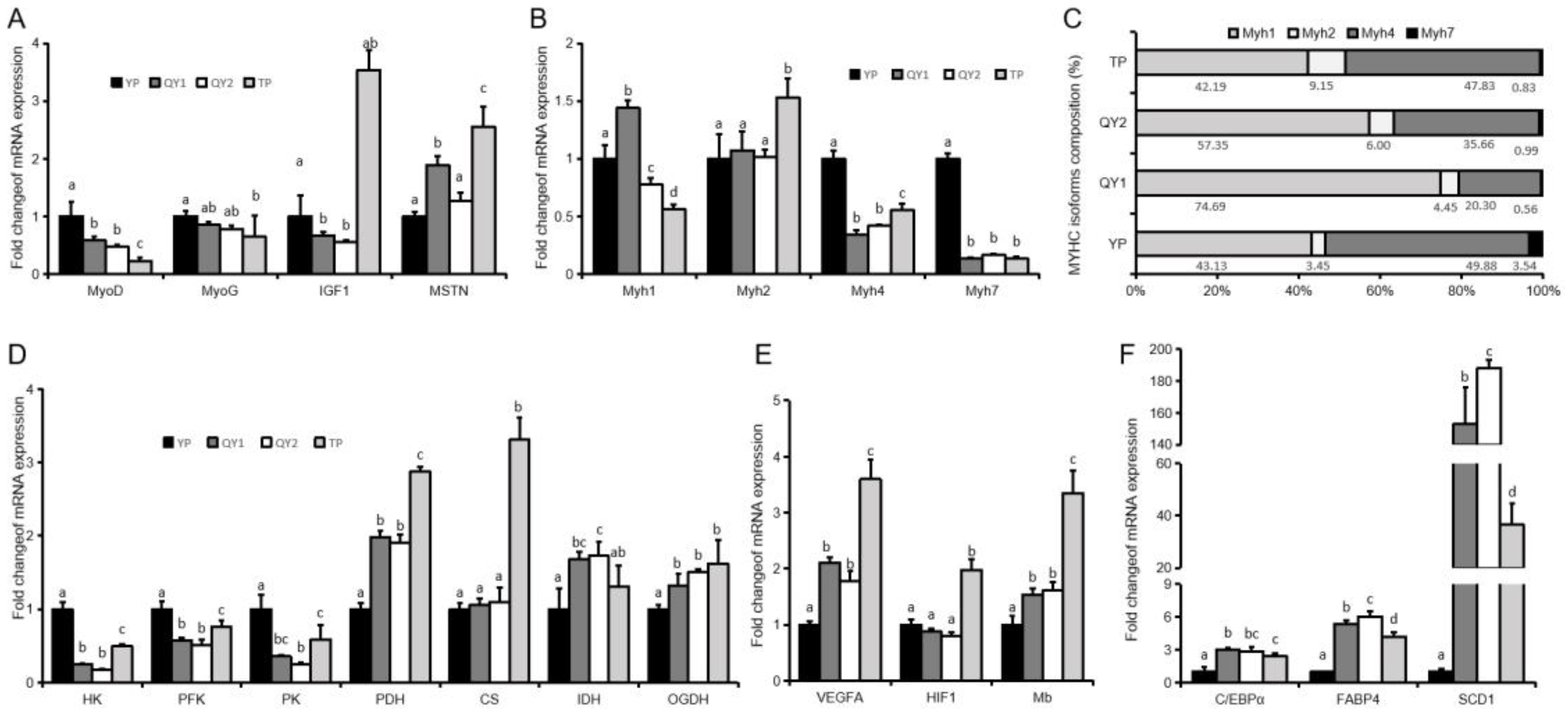 Animals 09 01080 g002