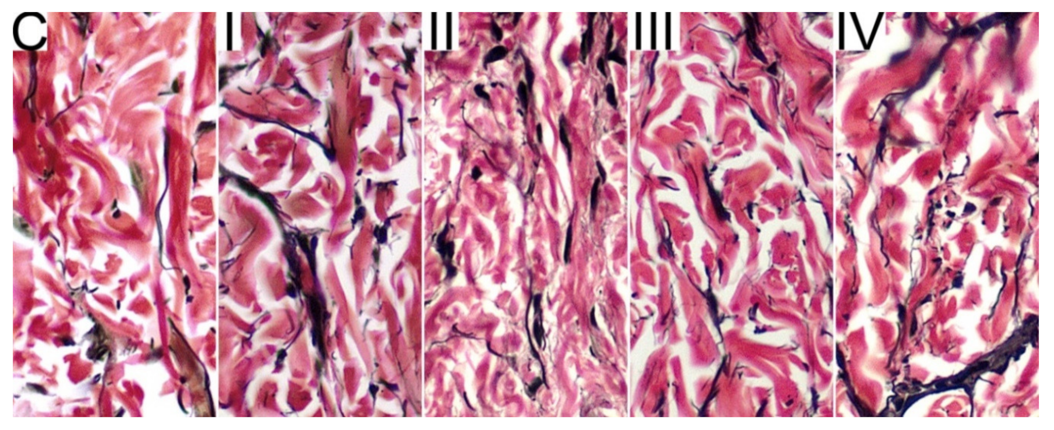 Animals 09 01081 g001 Animals 09 01081 g001