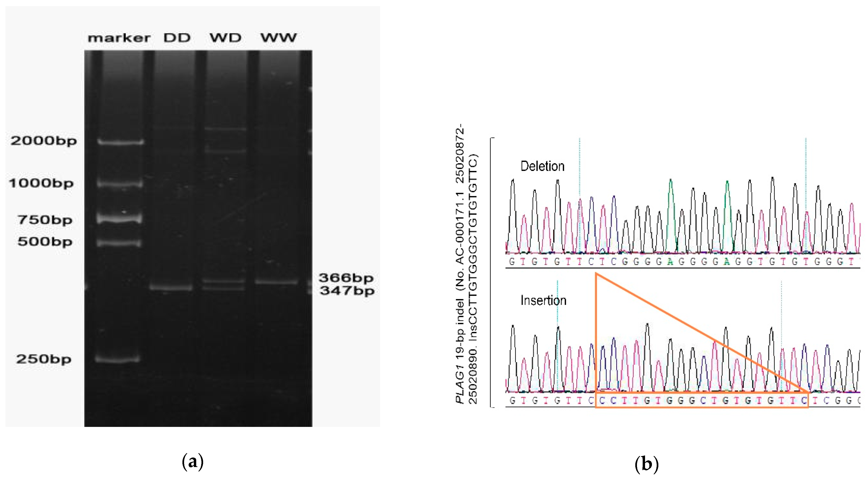 Animals 09 01082 g001