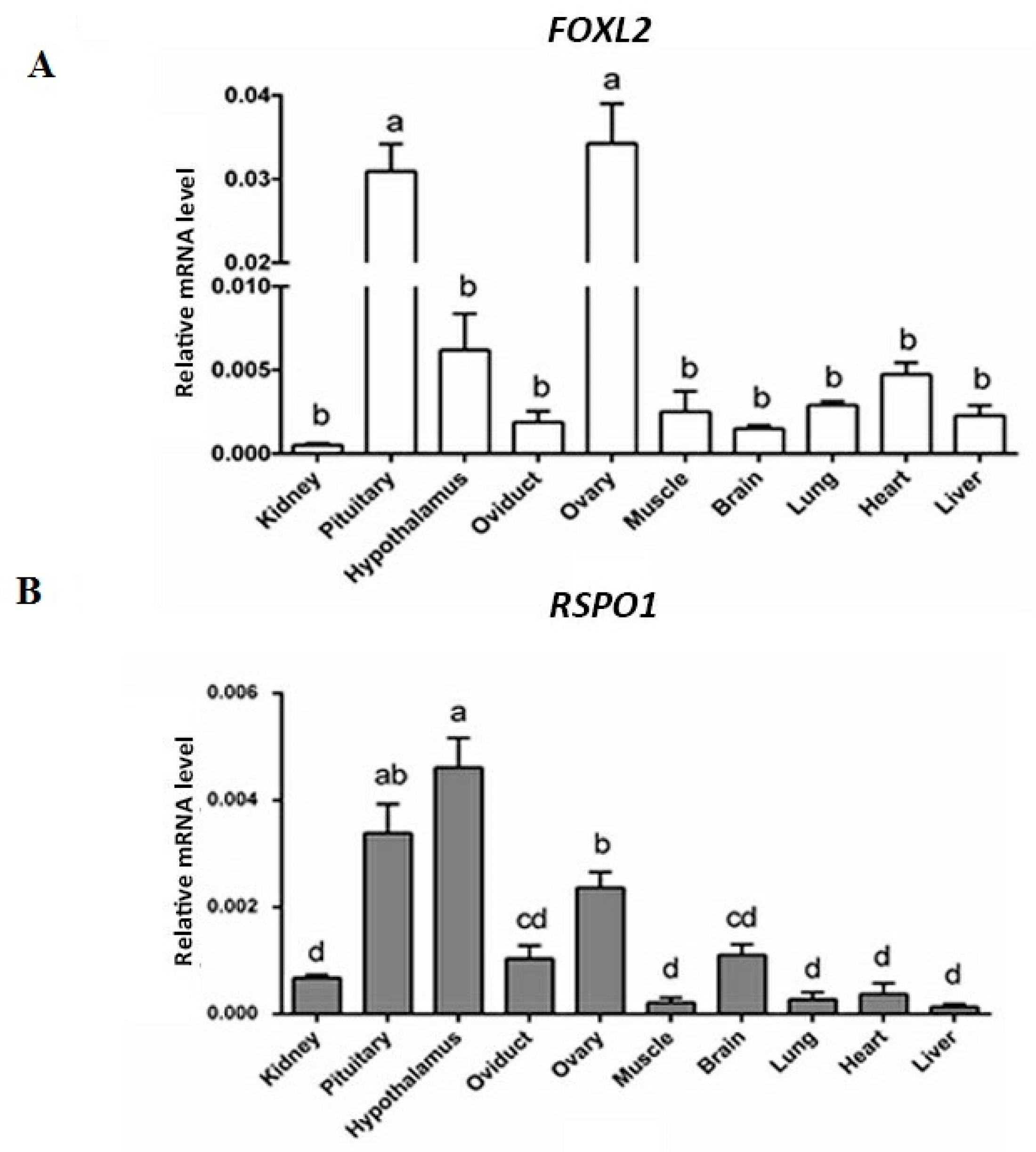 Animals 09 01083 g001 Animals 09 01083 g001