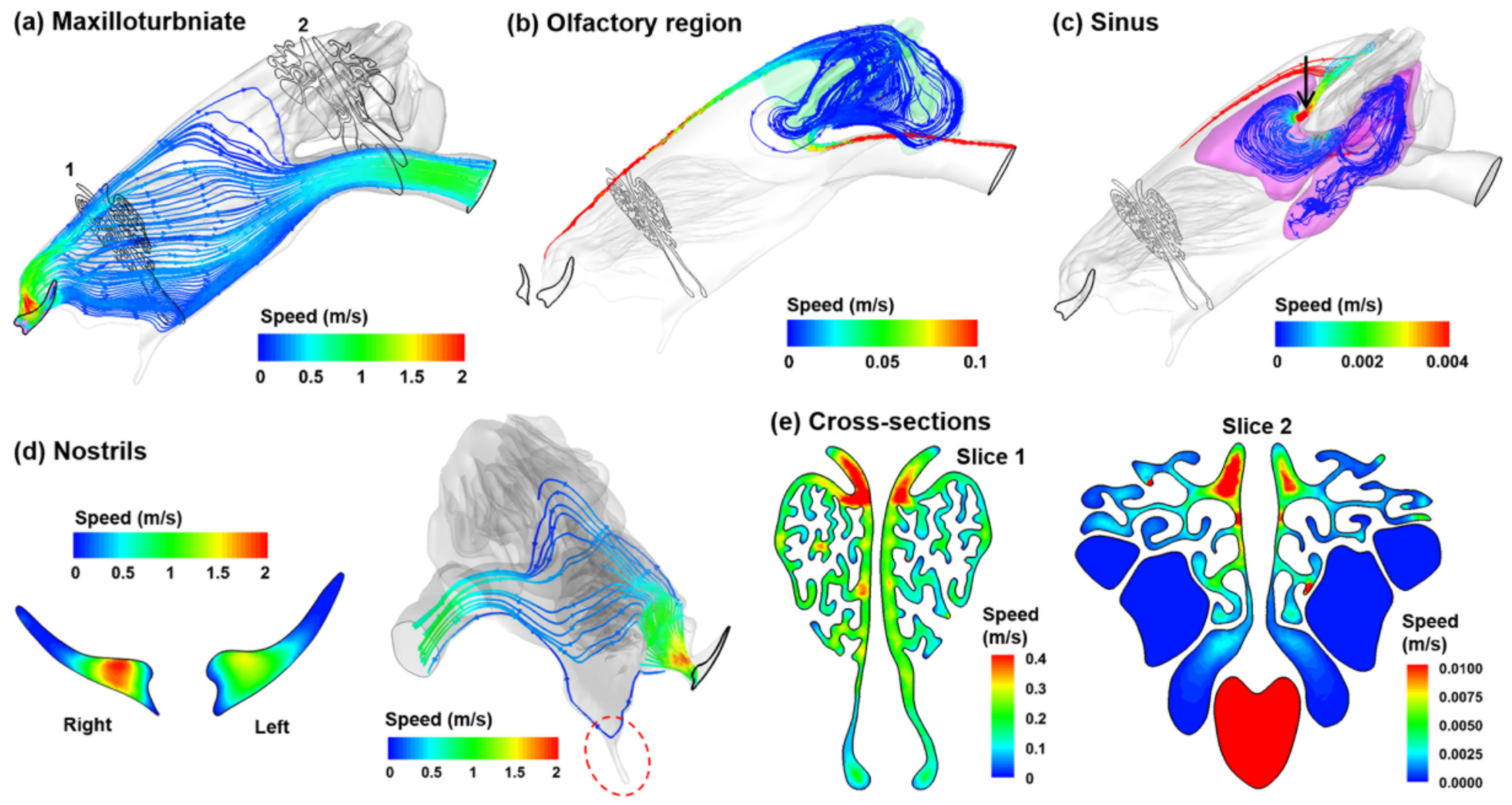 Animals 09 01107 g003 Animals 09 01107 g003