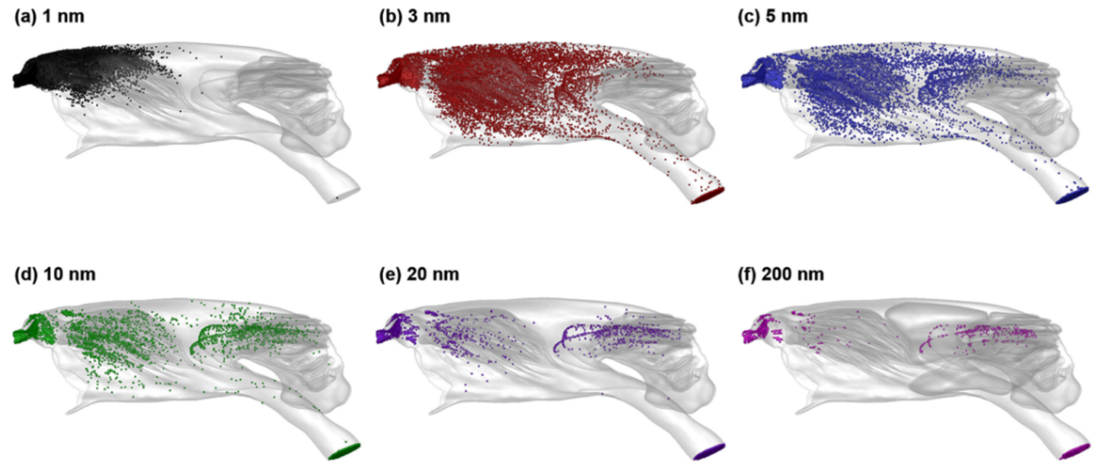 Animals 09 01107 g011 Animals 09 01107 g011