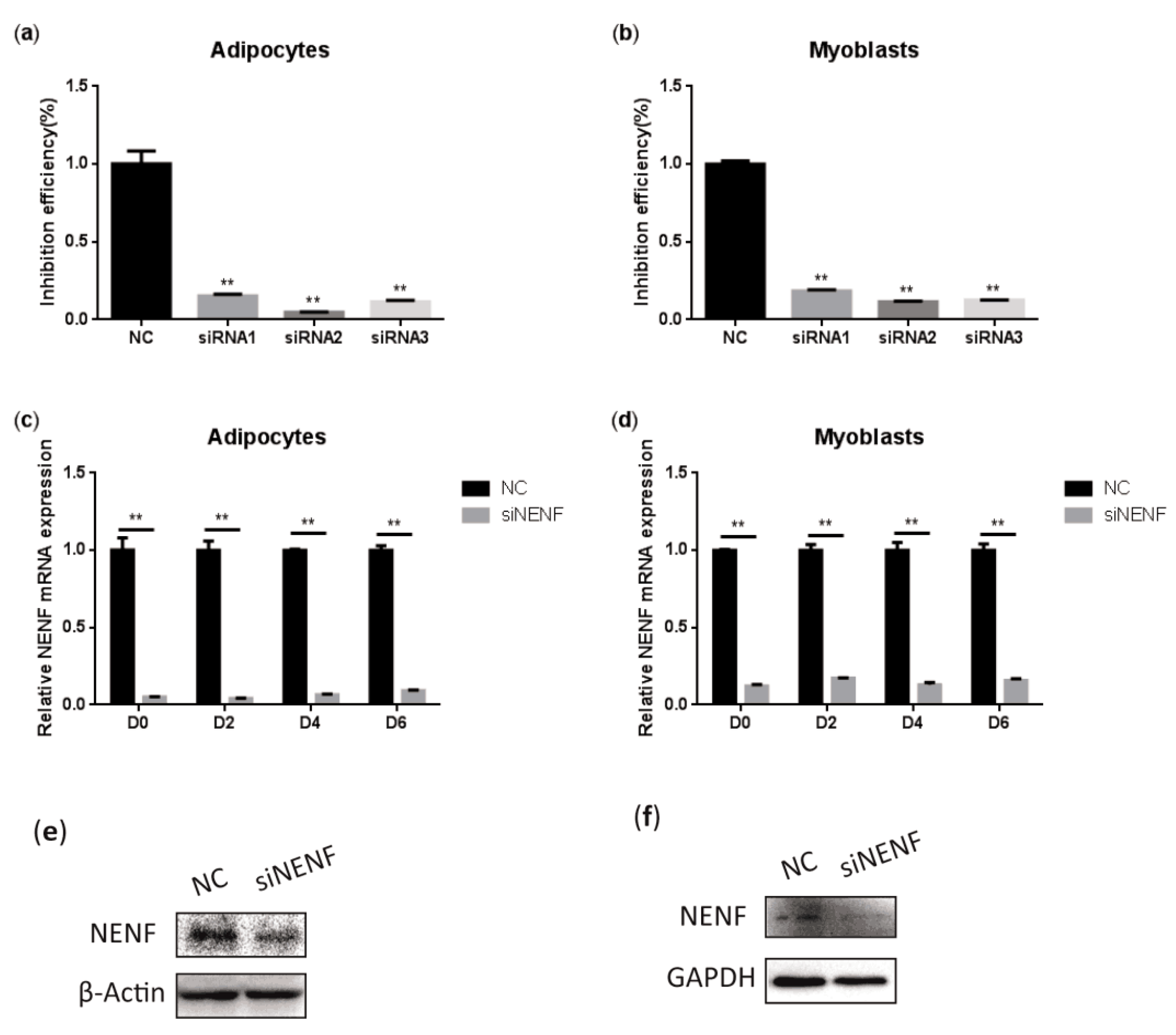 Animals 09 01109 g003 Animals 09 01109 g003