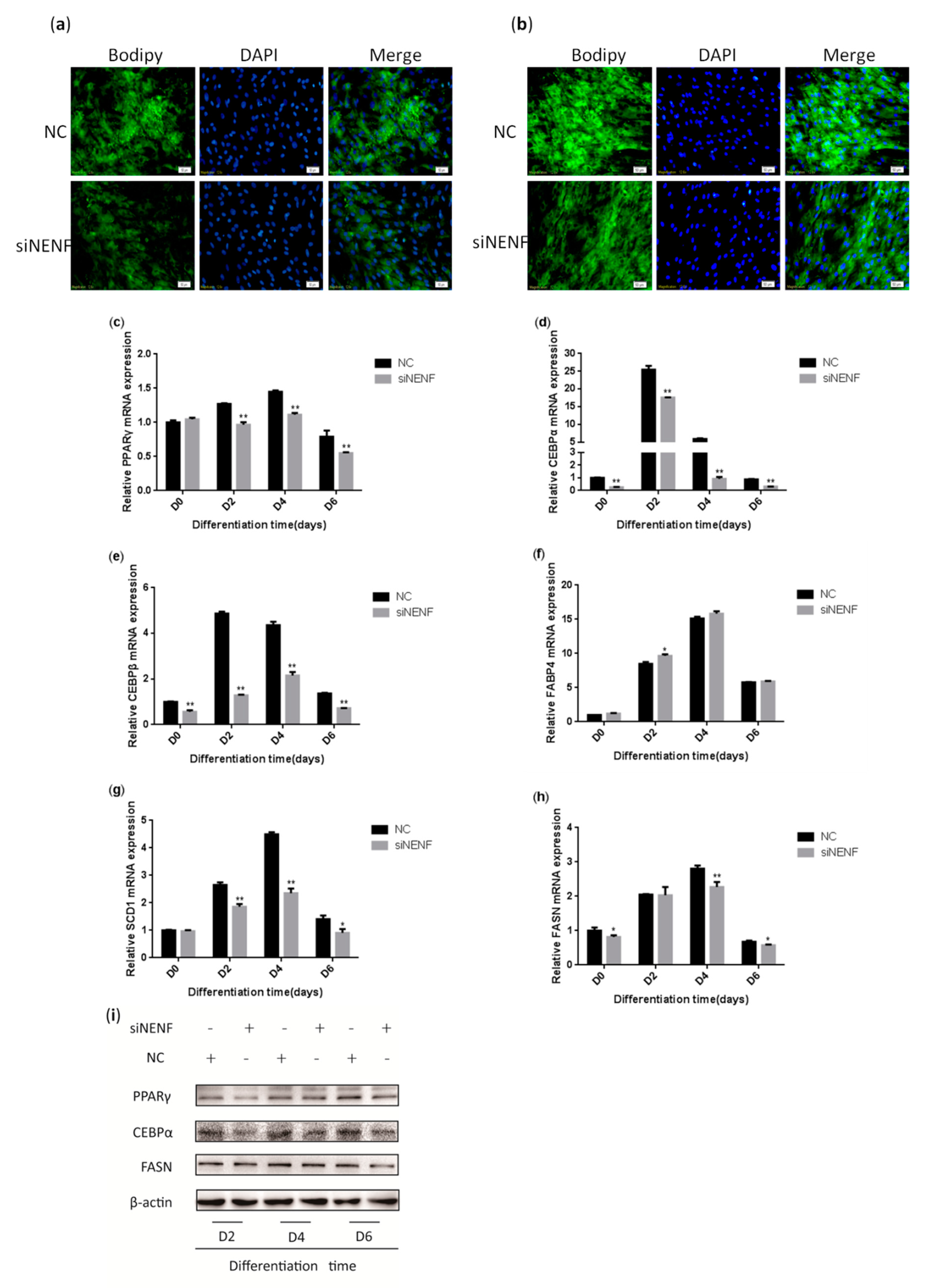 Animals 09 01109 g004 Animals 09 01109 g004