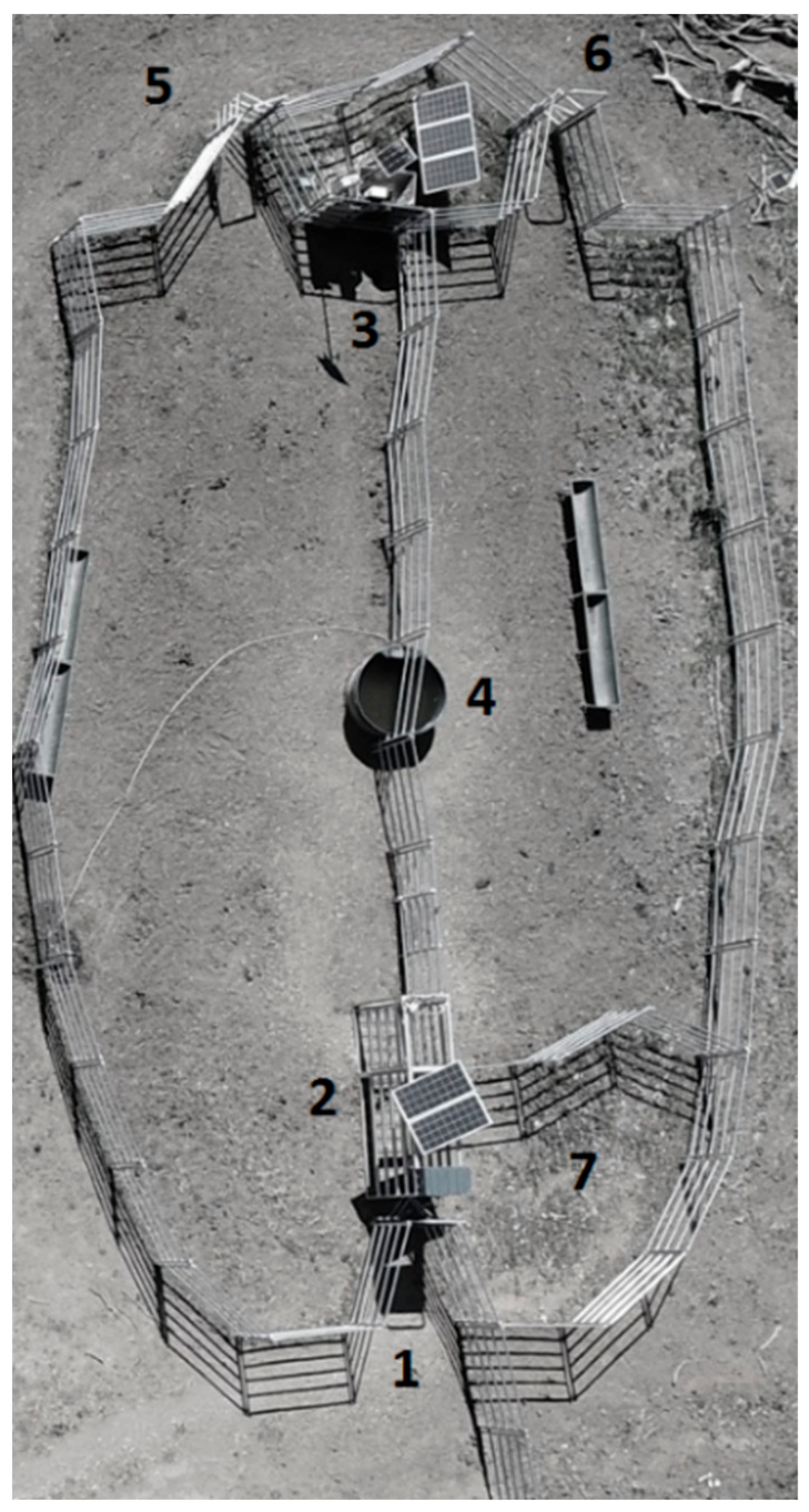 Animals 09 01129 g001