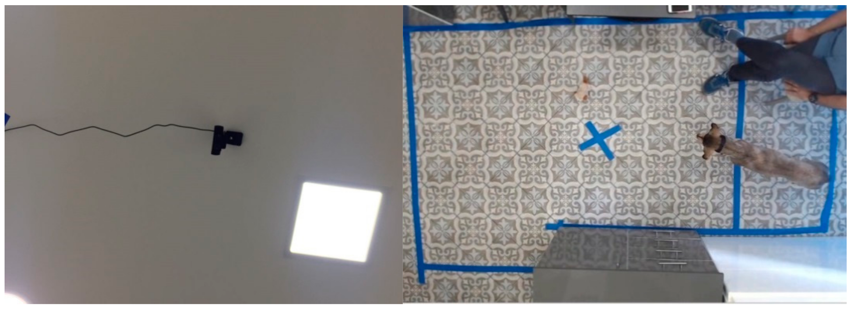 Animals 09 01140 g001 Animals 09 01140 g001