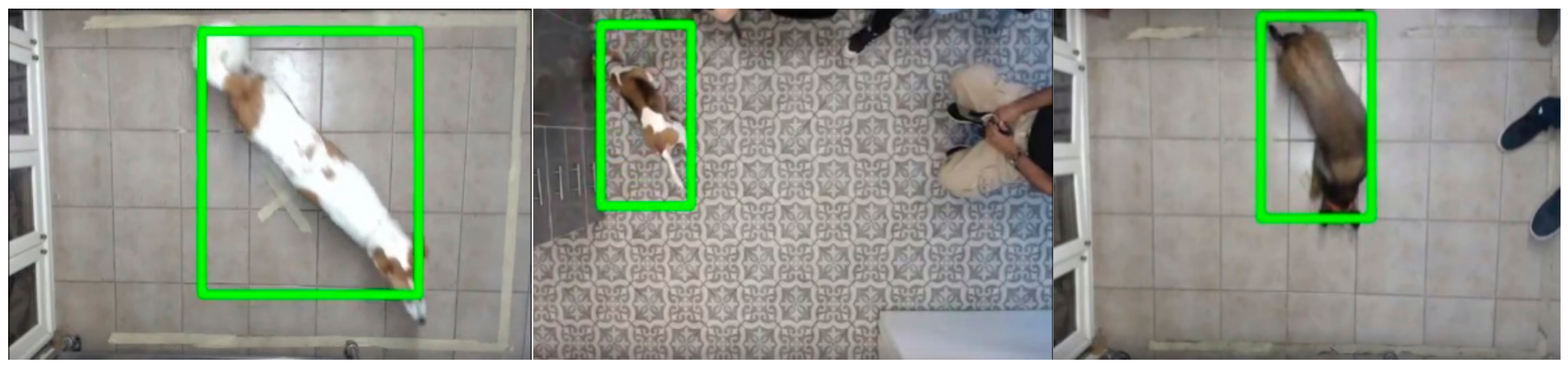 Animals 09 01140 g002 Animals 09 01140 g002