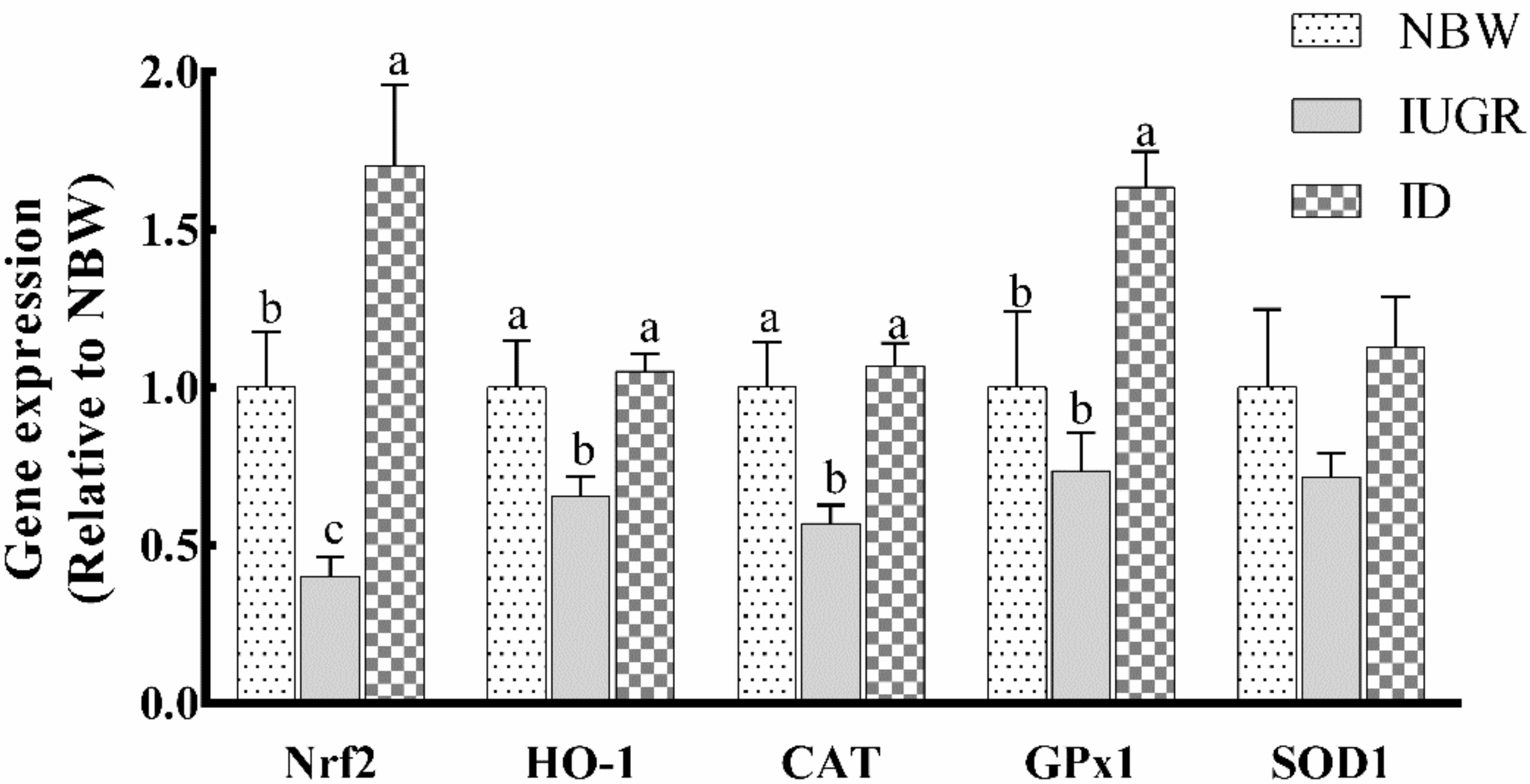 Animals 09 01144 g002
