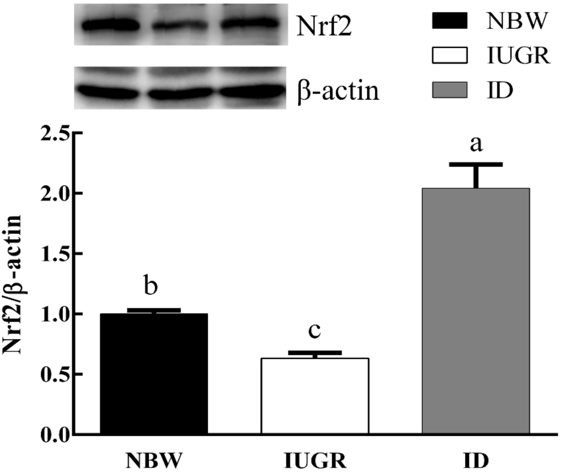 Animals 09 01144 g003