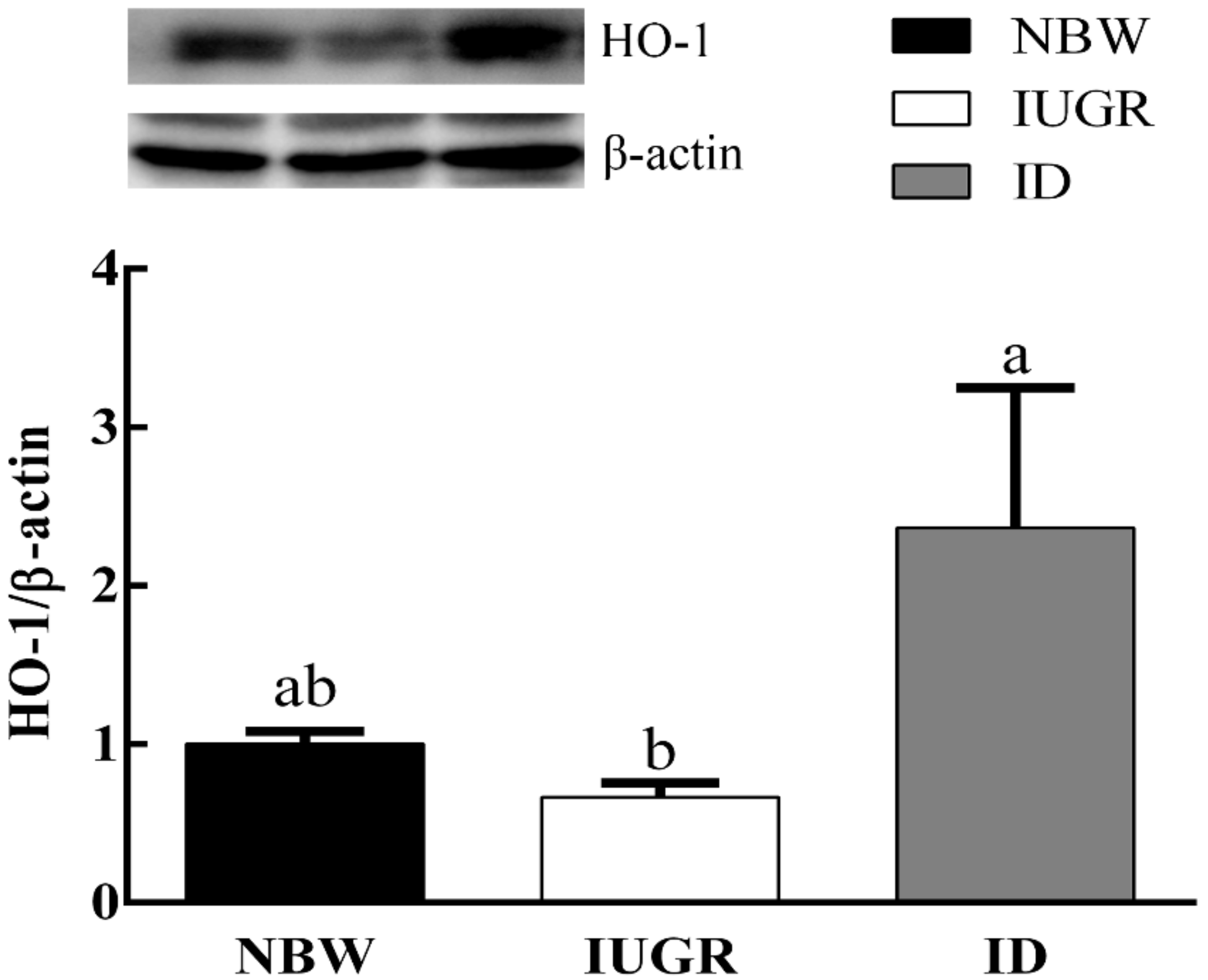 Animals 09 01144 g004