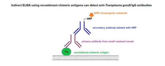 toxoplazma antigén miért jönnek vissza a férgek