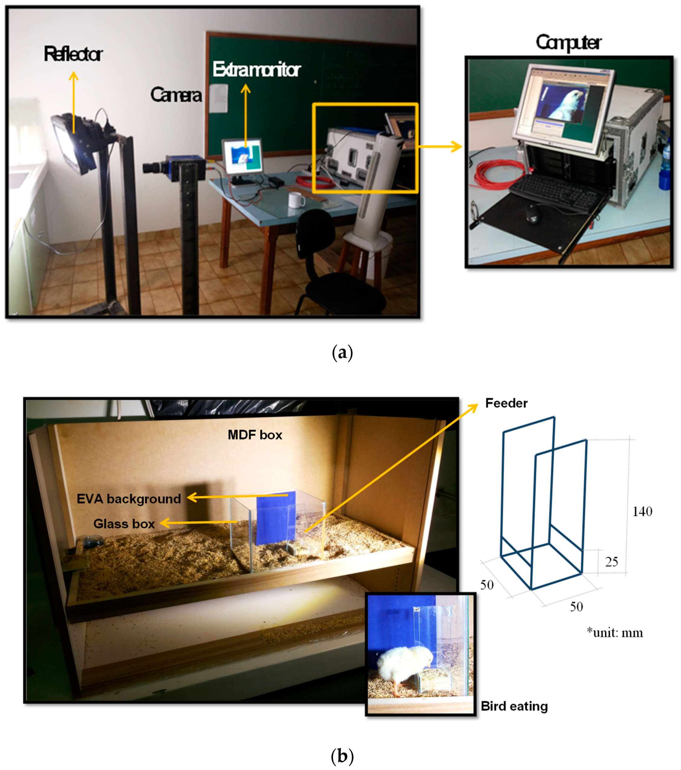 Animals 09 01149 g001