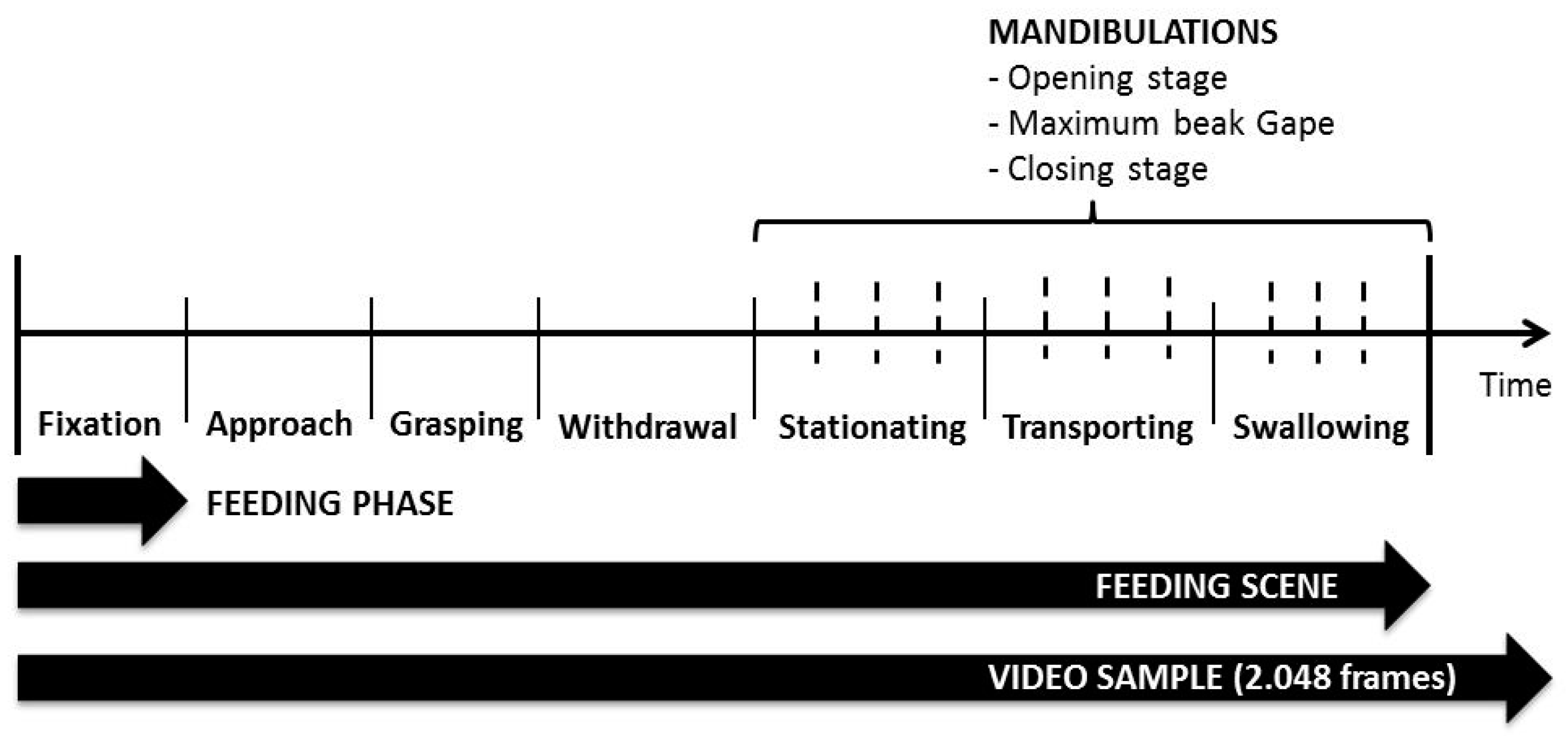 Animals 09 01149 g003