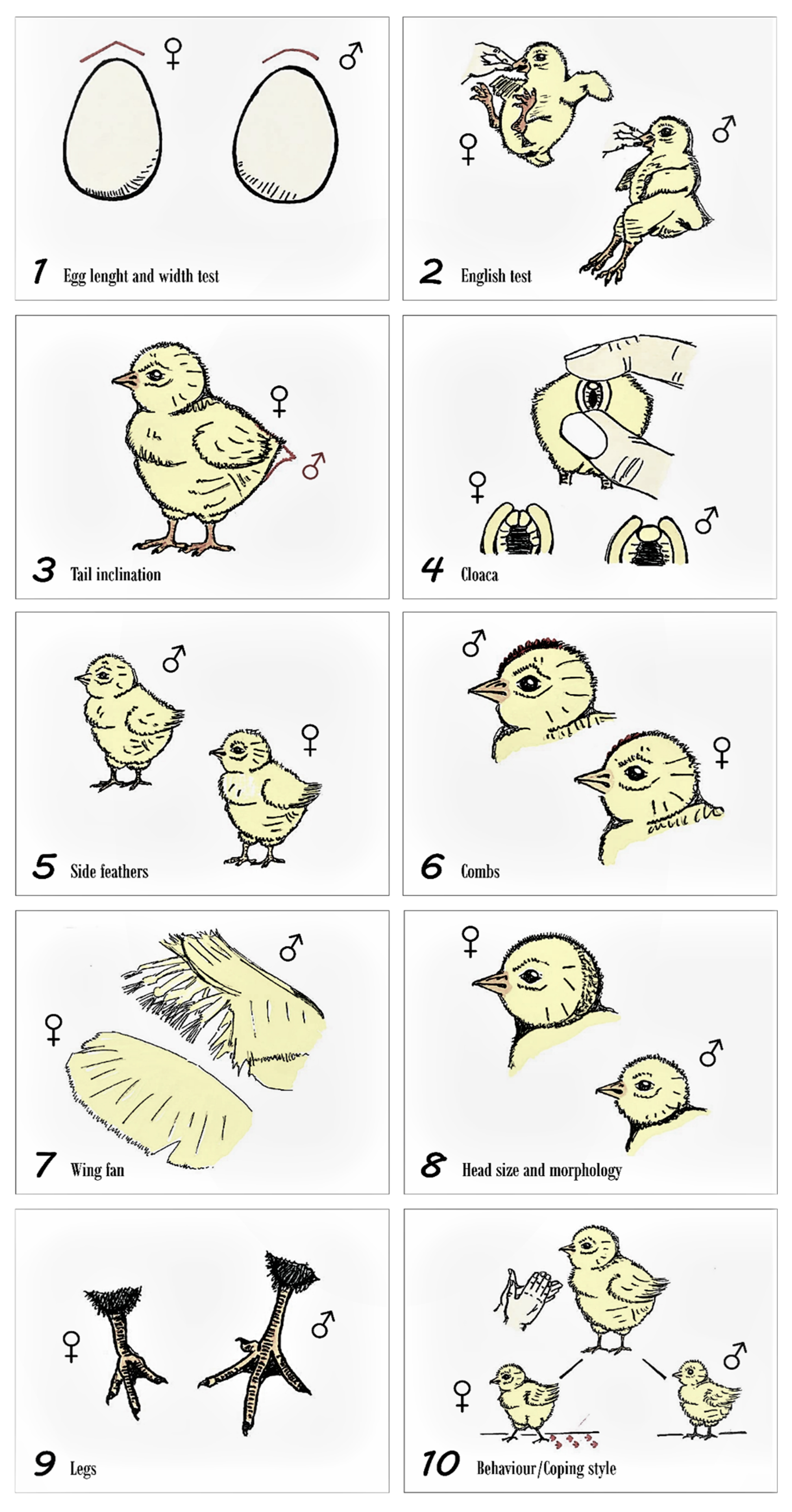 Animals 09 01165 g002