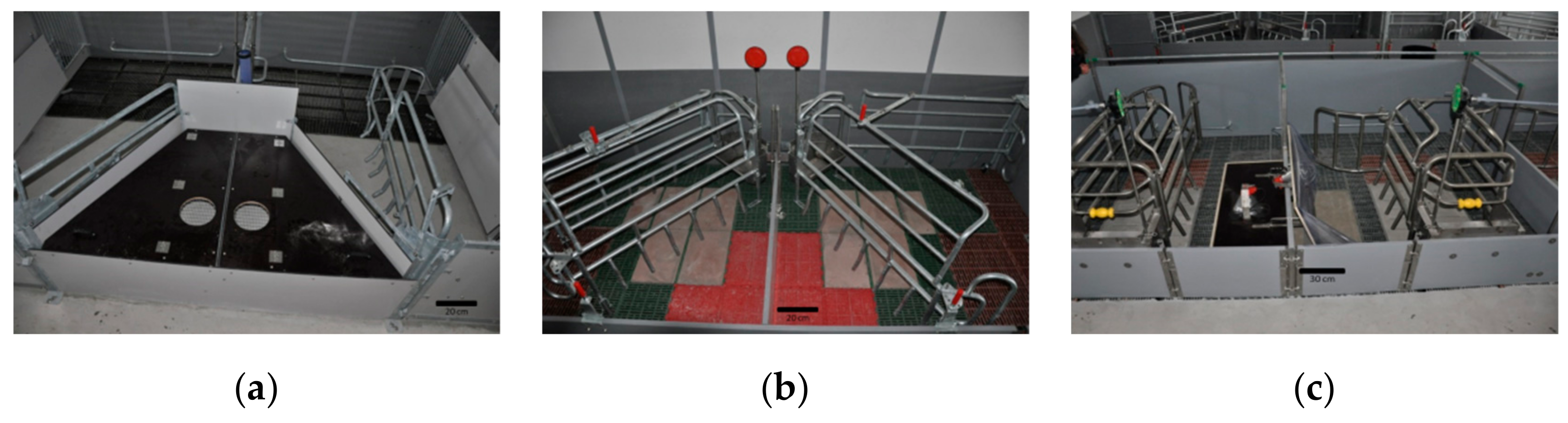 Animals 10 00006 g001