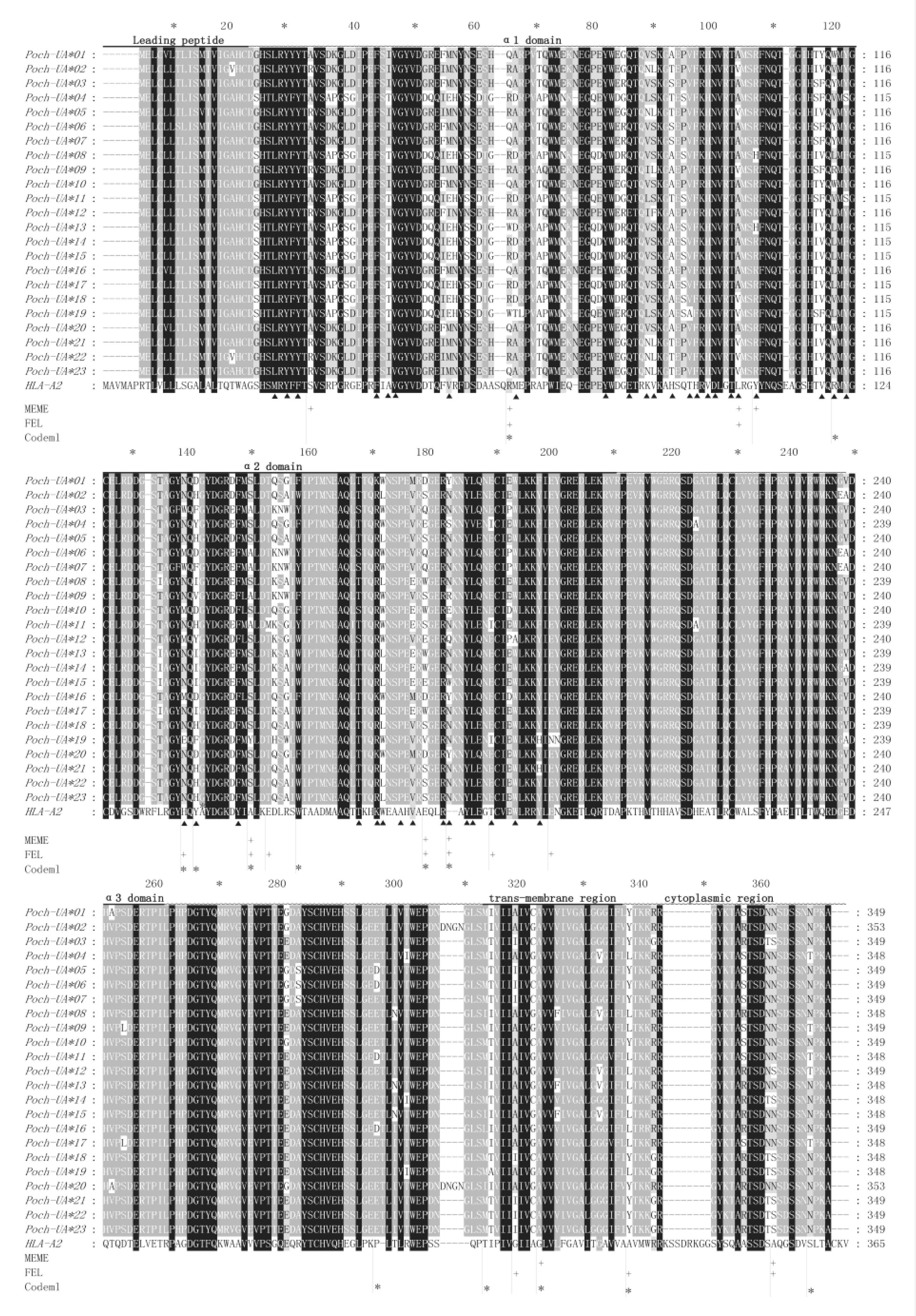 Animals 10 00034 g002 Animals 10 00034 g002