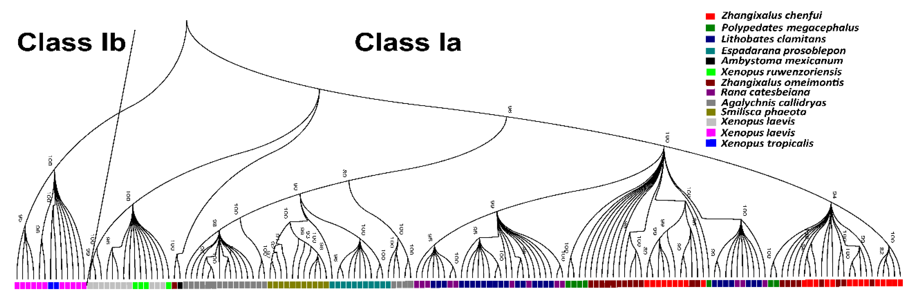 Animals 10 00034 g003 Animals 10 00034 g003