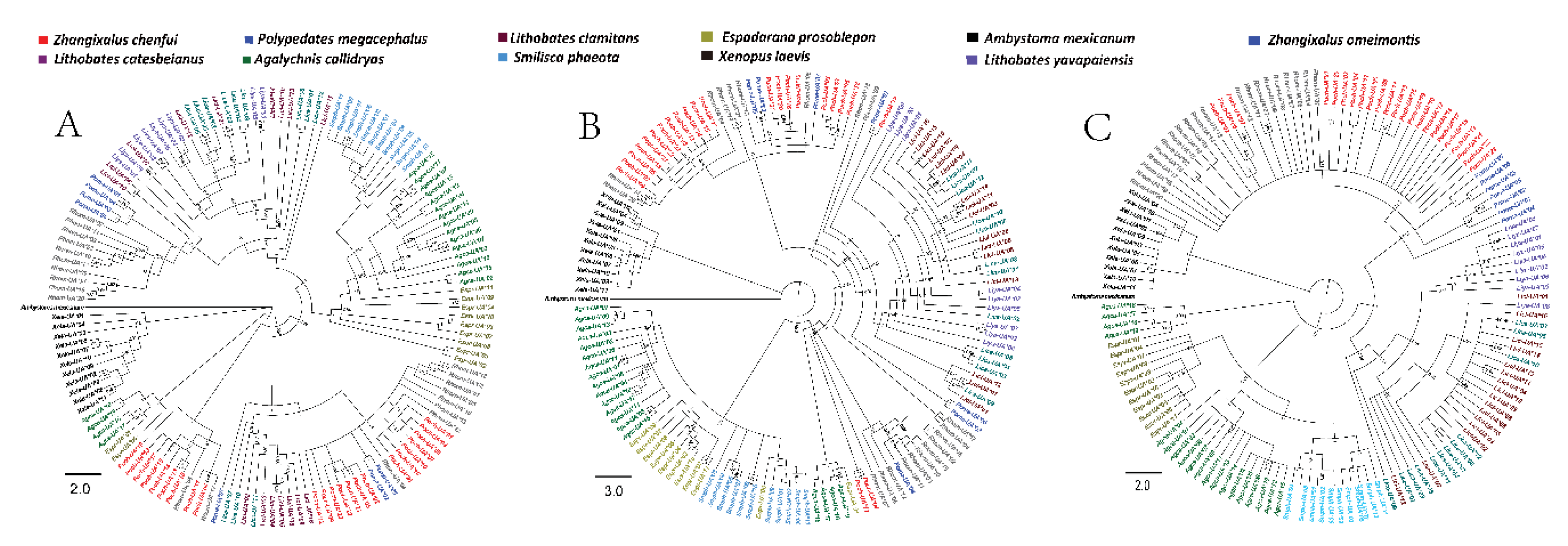 Animals 10 00034 g004 Animals 10 00034 g004